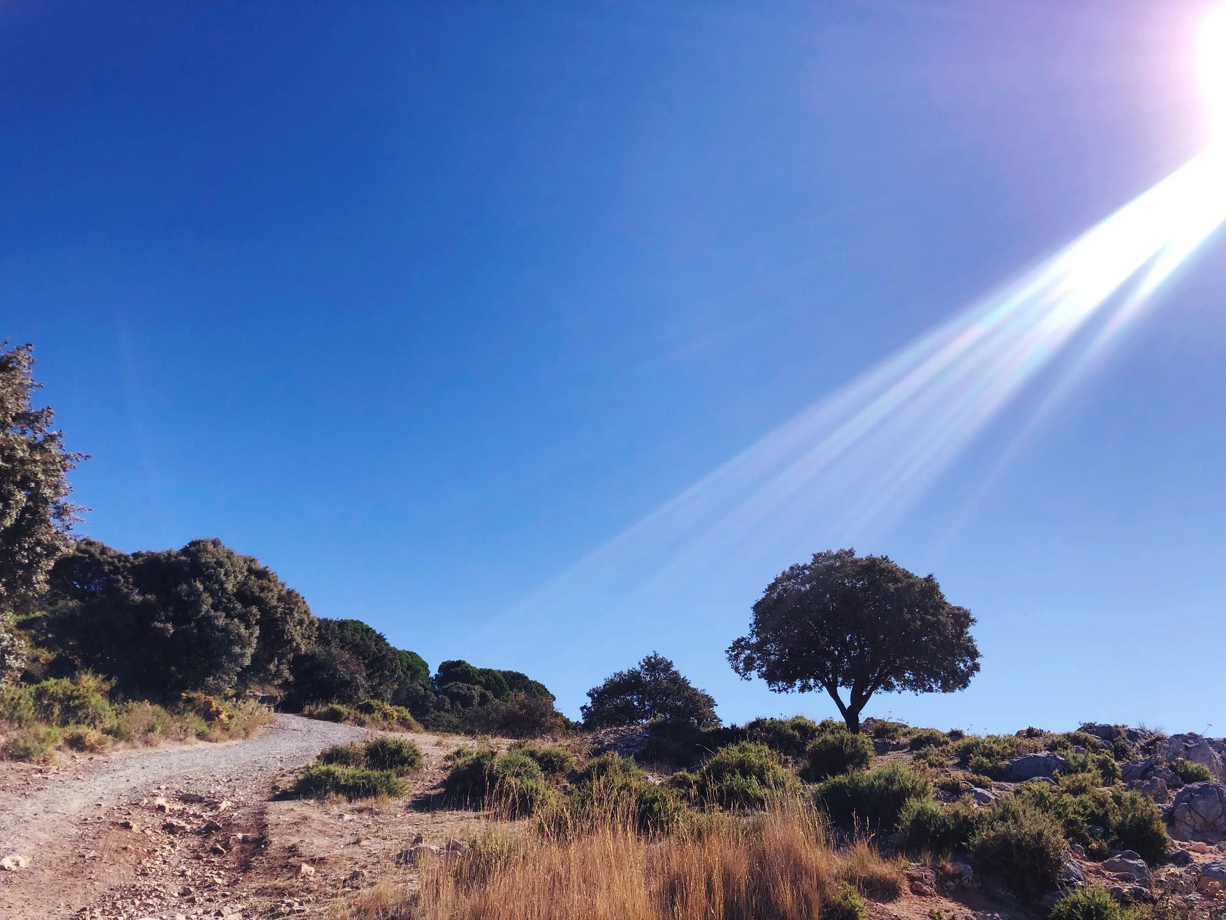 Päivä 2 | Teba - Zahara -  Ubrique - Jubrique - Estepona -&nbsp;Costa del Sol - Torremolinos    