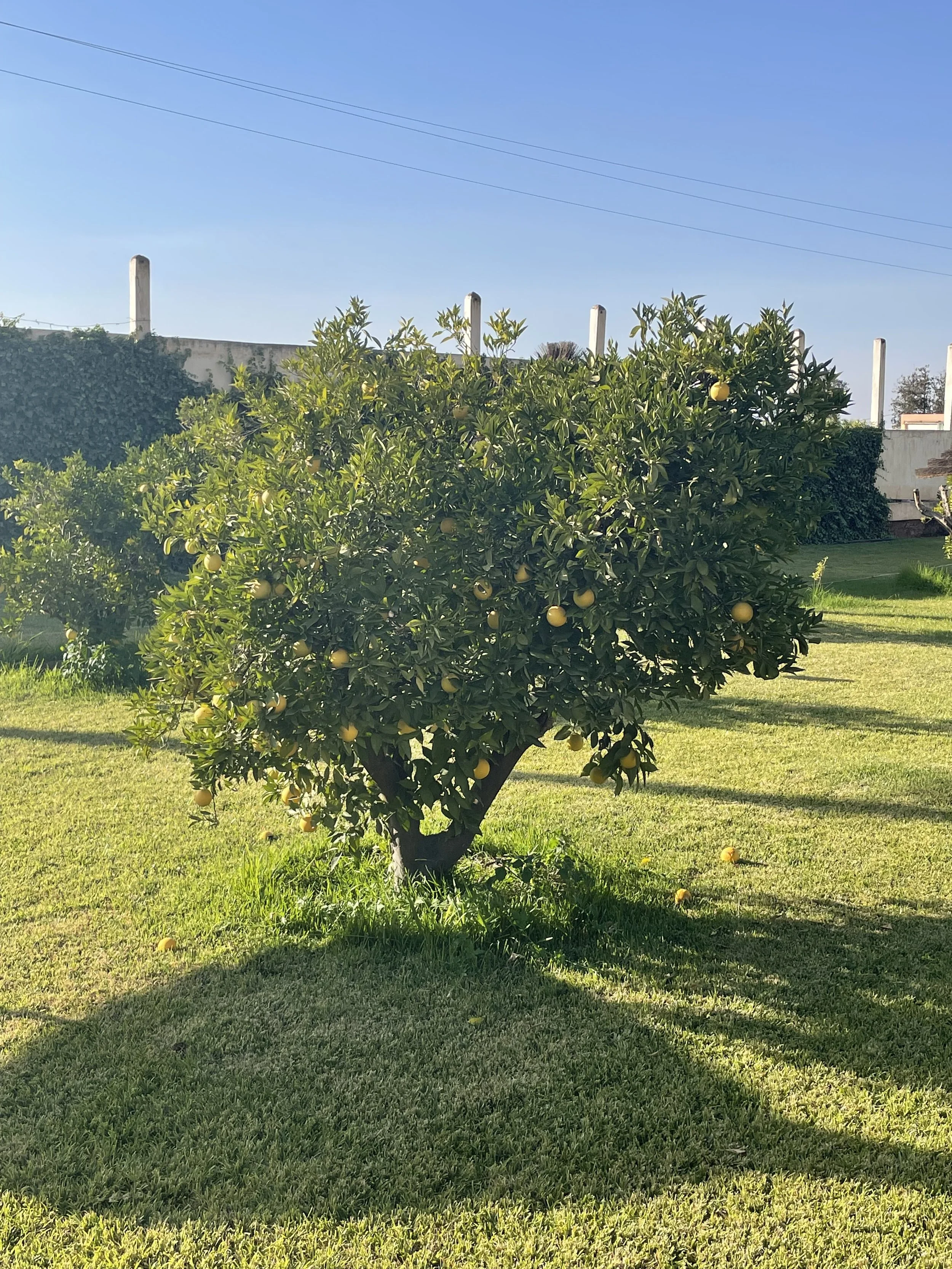 Päivä 10 | Meknes - Beni-Mellal | 263km