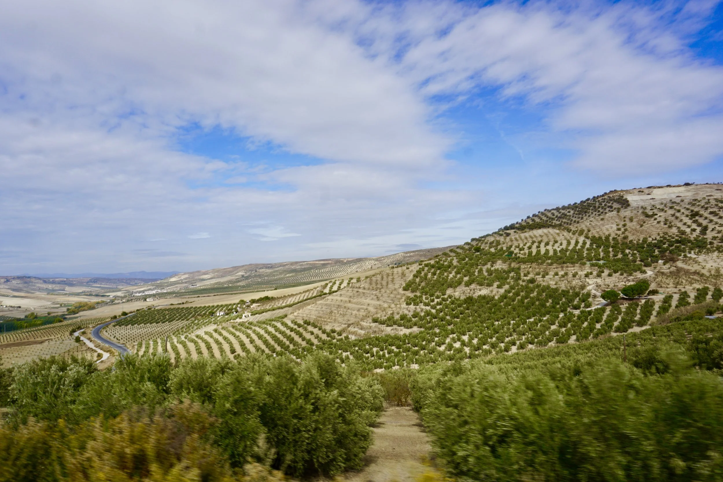 Päivä 3 | Torremolinos - Frigliana - Alhama de Granada - Colmenar - Malaga - Torremolinos