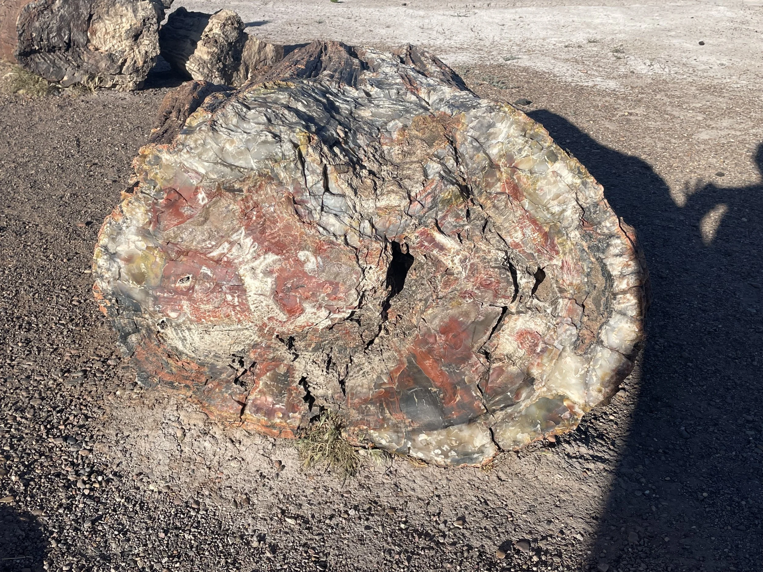 Päivä 9 I Route66 Santa Fe - Holbrook I 650km