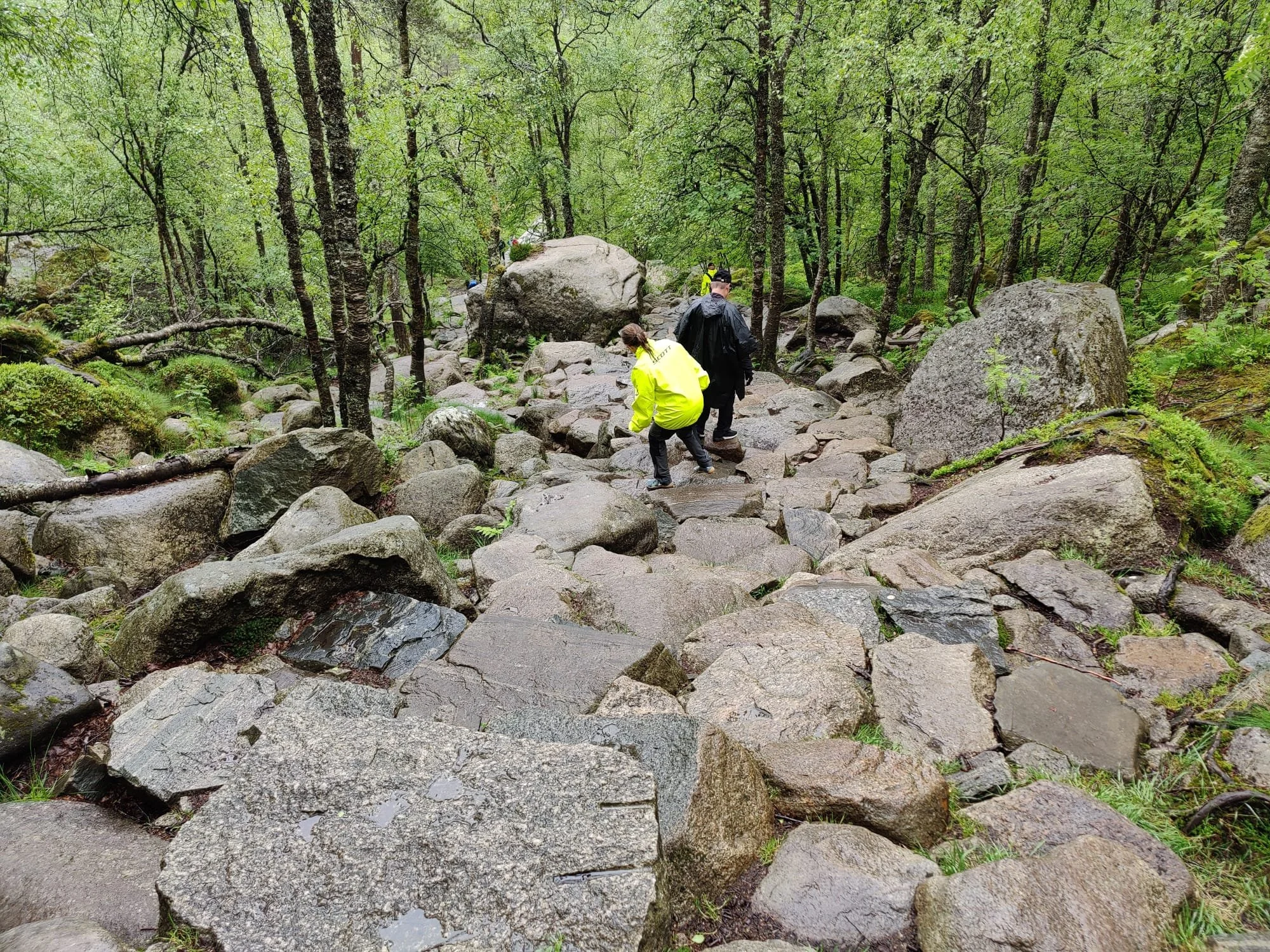 Päivä 5 | Patikkaretki Preikestolenille | 0 km