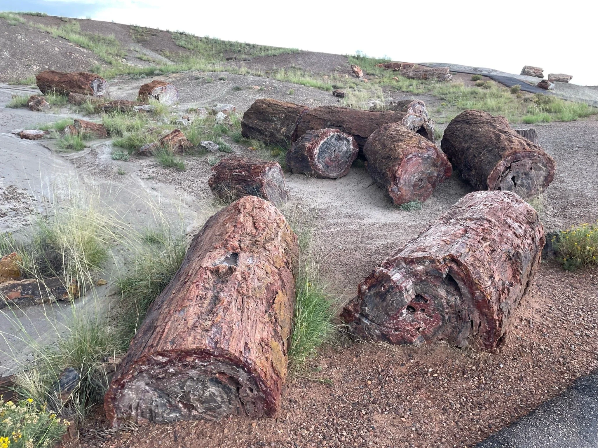 Päivä 11  I  Santa Fe-Holbrook  I  650km