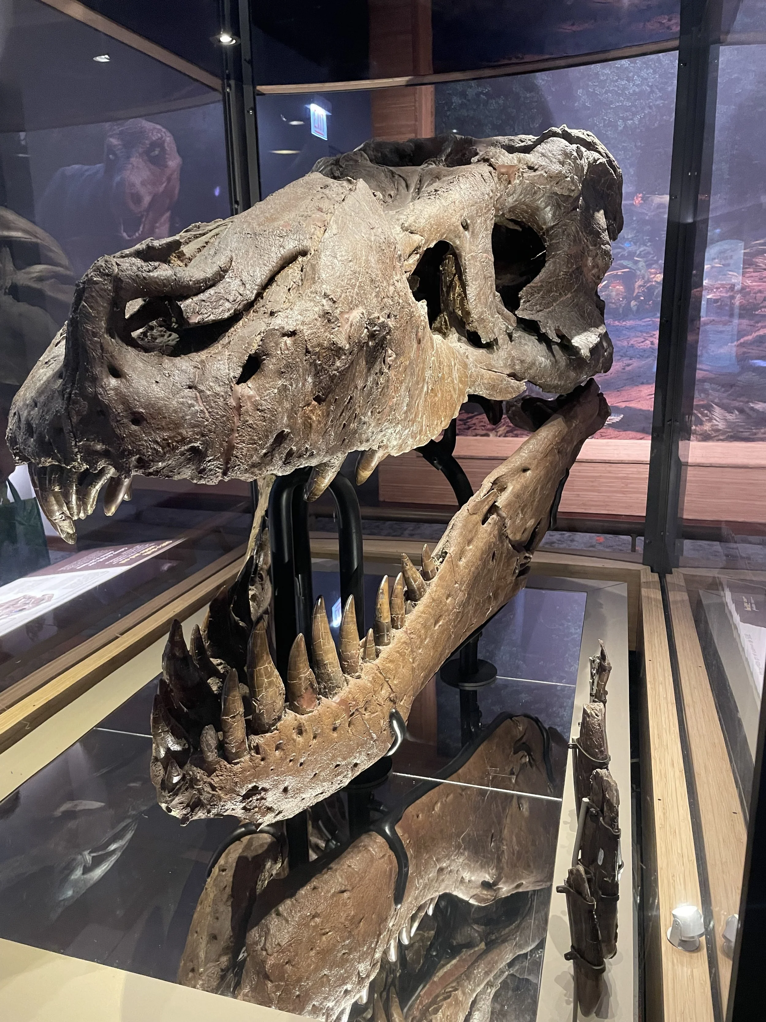 Päivä 1 | &gt; Chicago