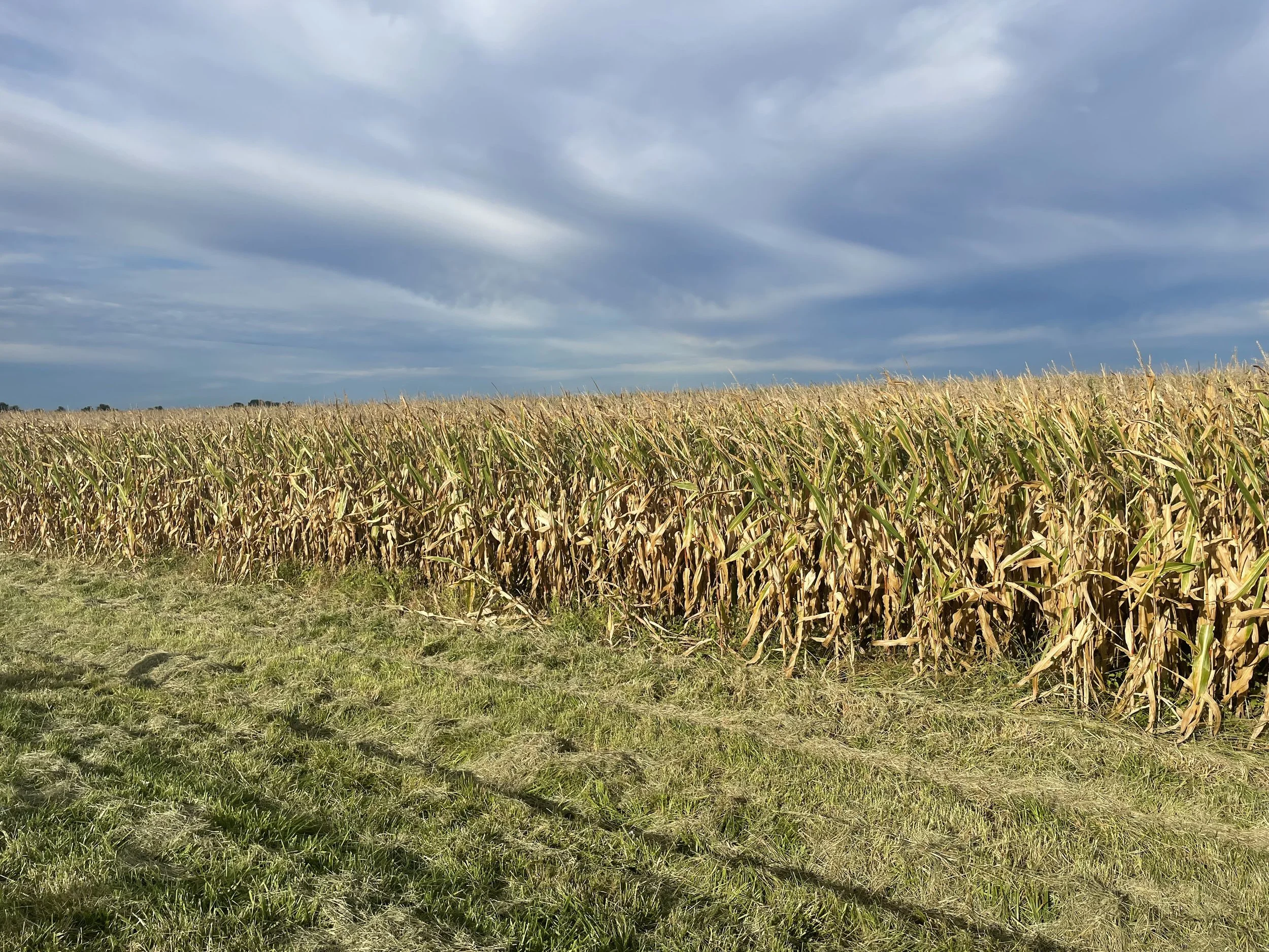 Päivä 3 | Springfield - St.Louis - Cuba | 316 km