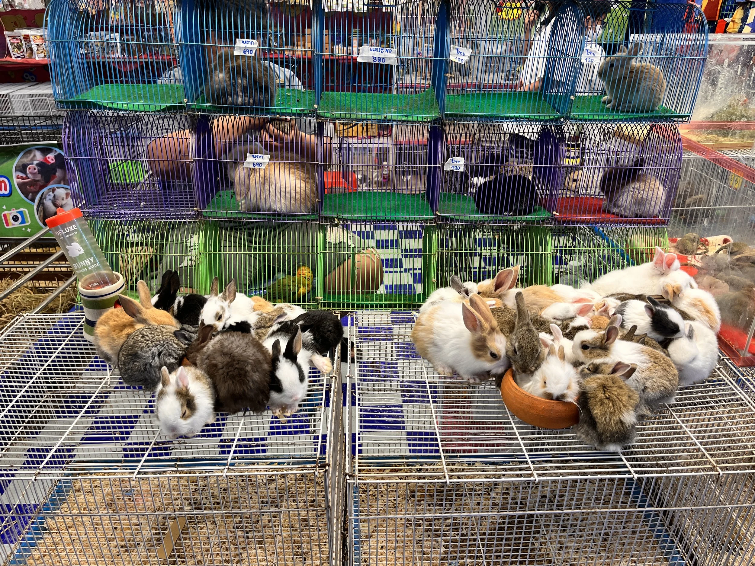 8 | Nan | vapaapäivä ajamisesta | 0 km