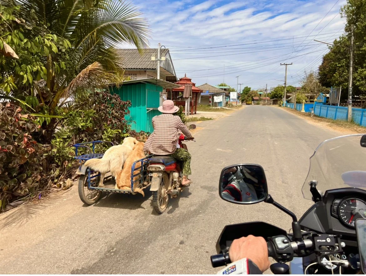 9 päivä | Nan - Phayao | 310 km 