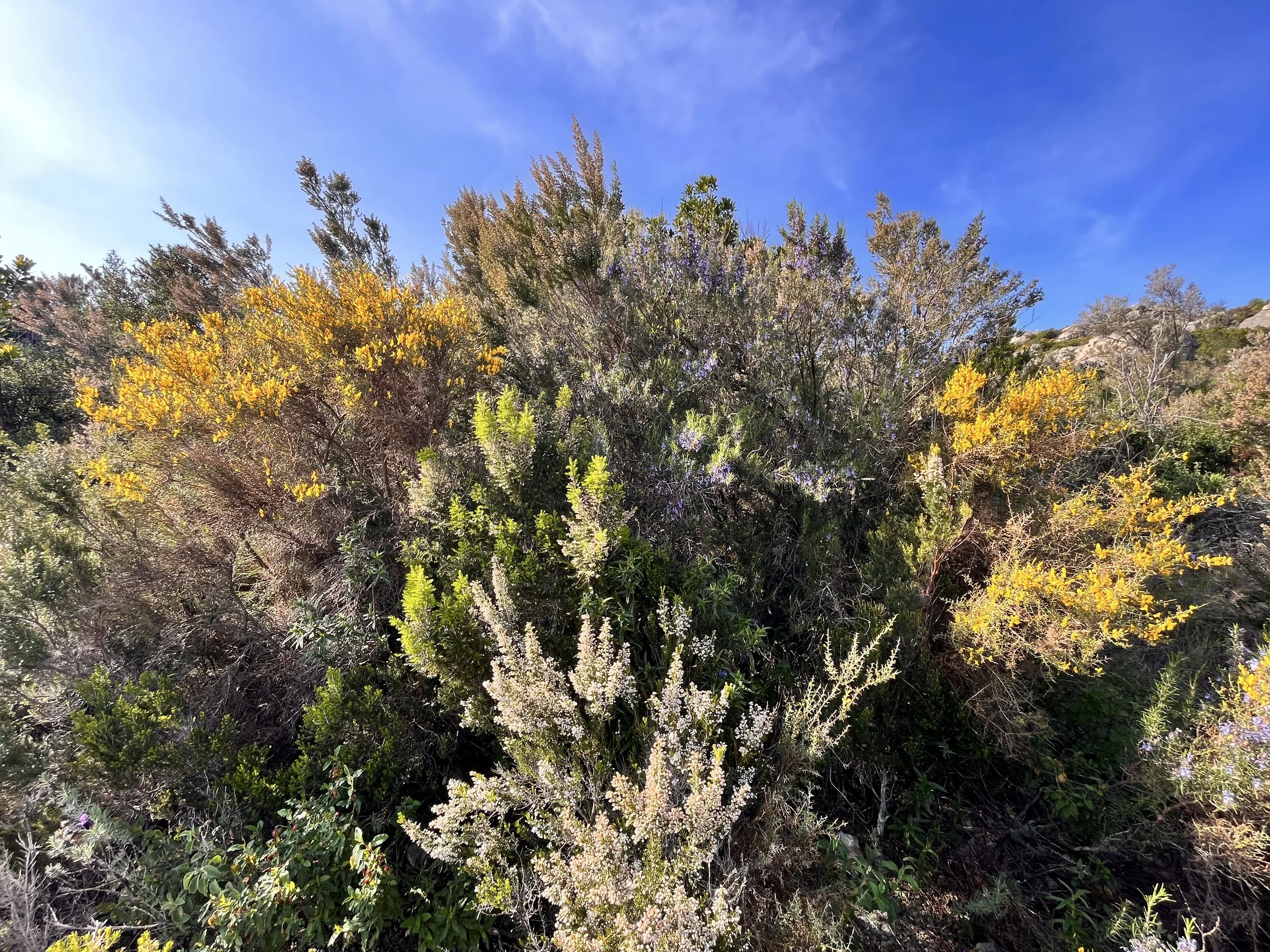            Korsika | päivä 2 | Bastia - Porto Ota | 250 km                  