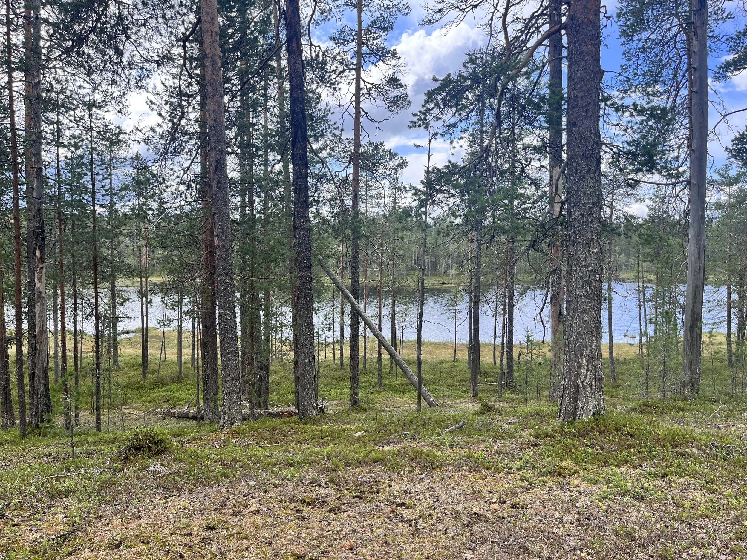 4 päivä | Suomussalmi -  Kuusamo | 320 km 