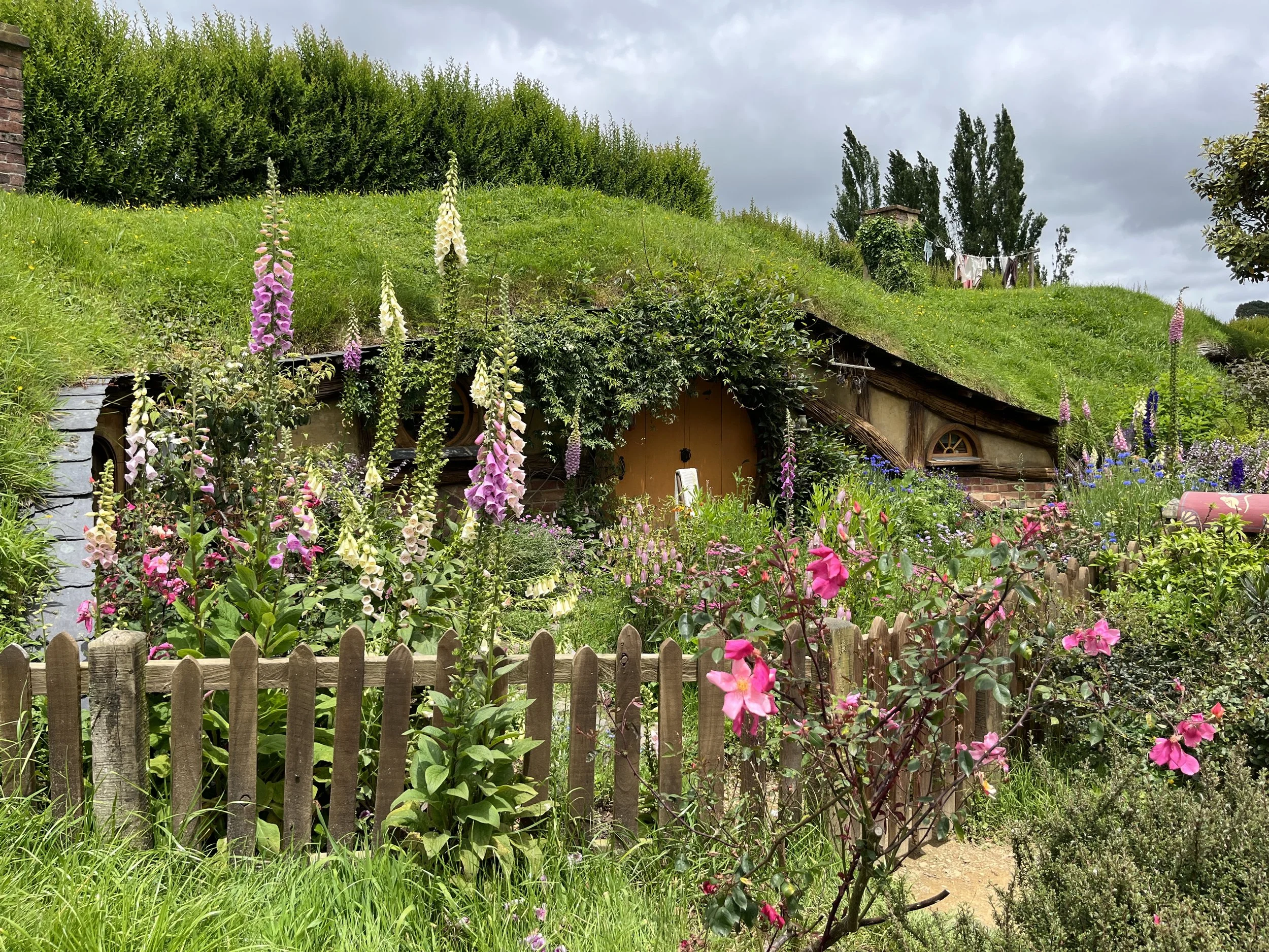 5 päivä | Whitianga - Hobitton - Rotorua | 268 km