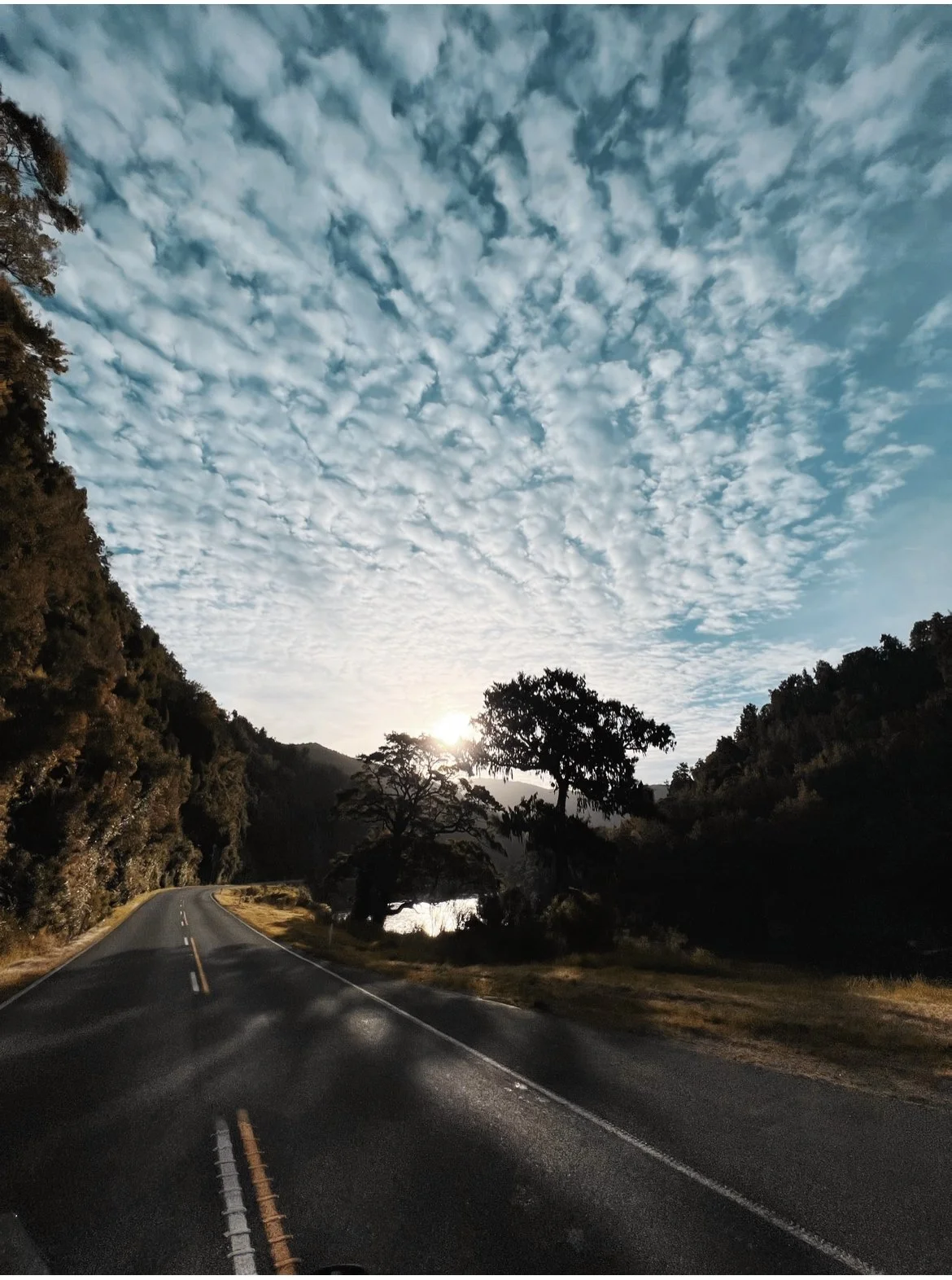 8 päivä | Wellington - Picton - Westport | 330 km