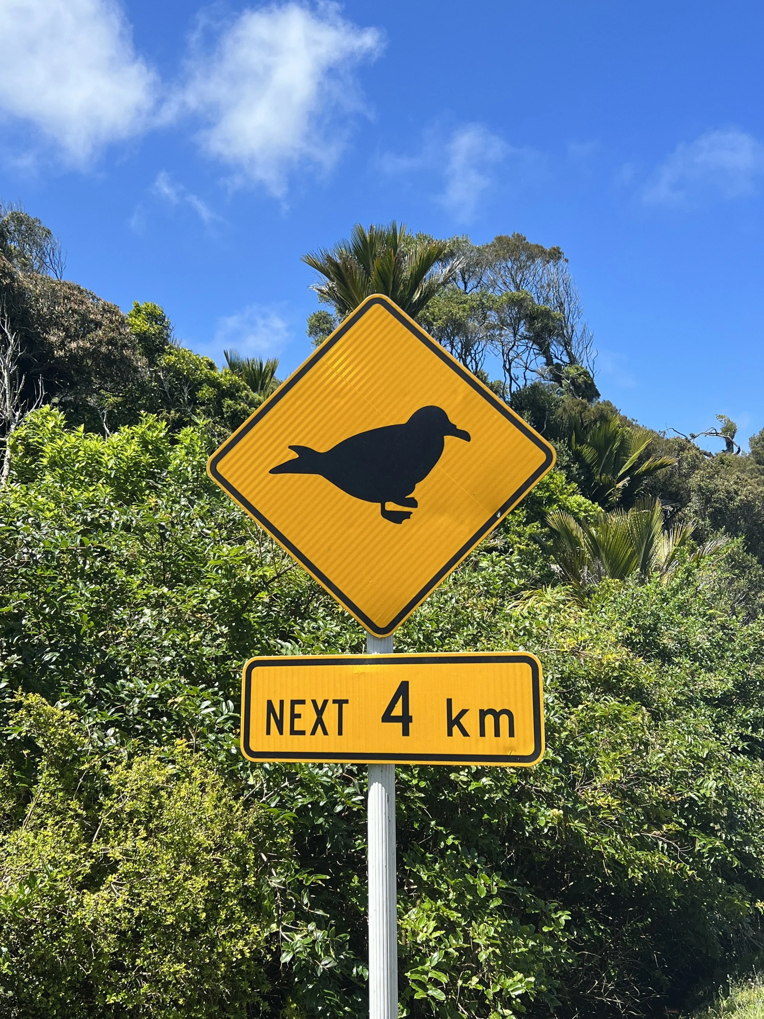 9 päivä | Westport - Frans Josef - Fox Glacier |