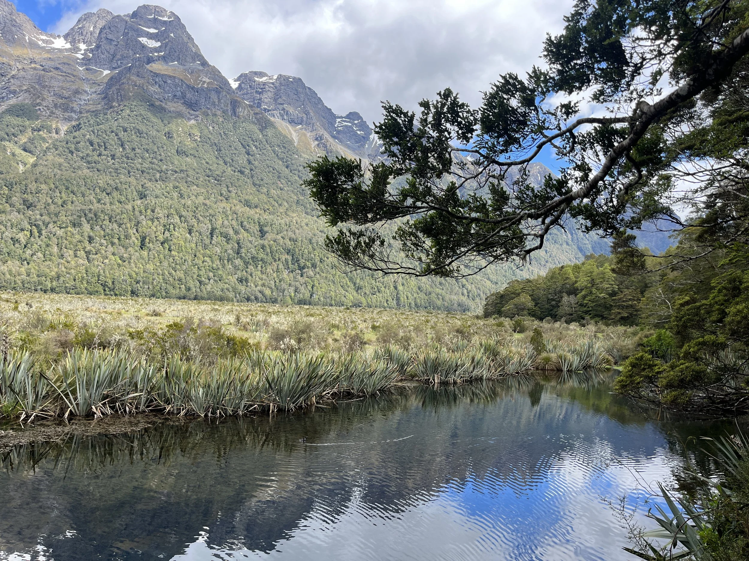 12 päivä | Queenstown - Milford Sound - Te Anau | 402 km