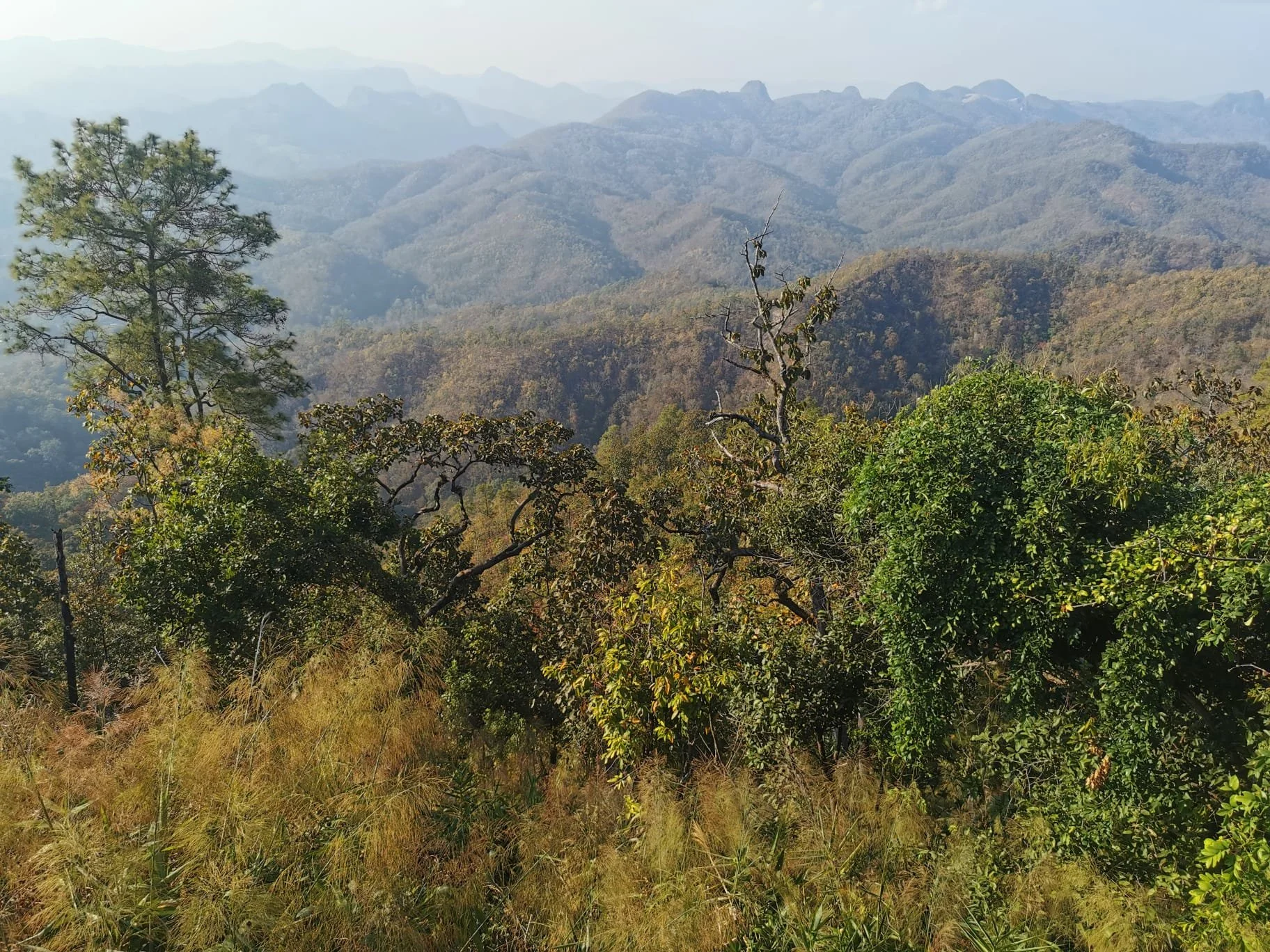 2 Päivä | Chiang Mai - Ban Khun Yuam | 250 km |