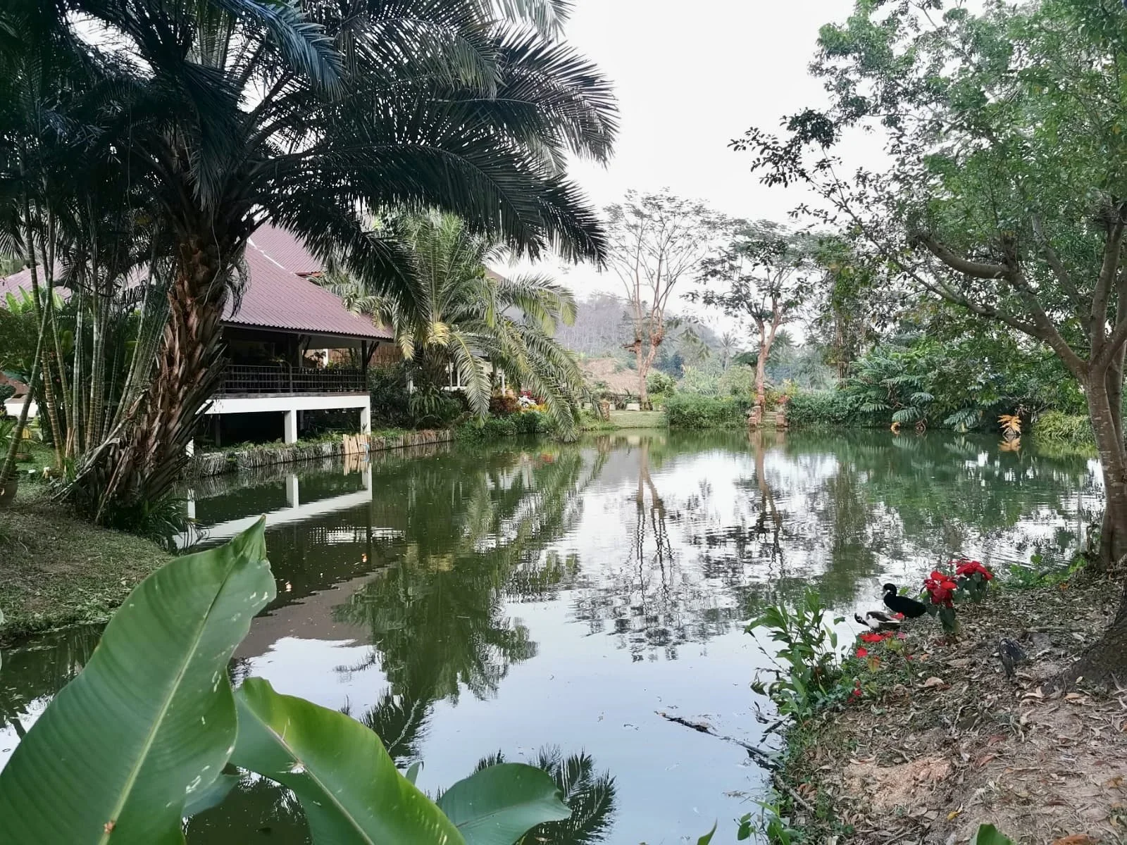 4 Päivä | Pai - Tha Ton | 270 km 