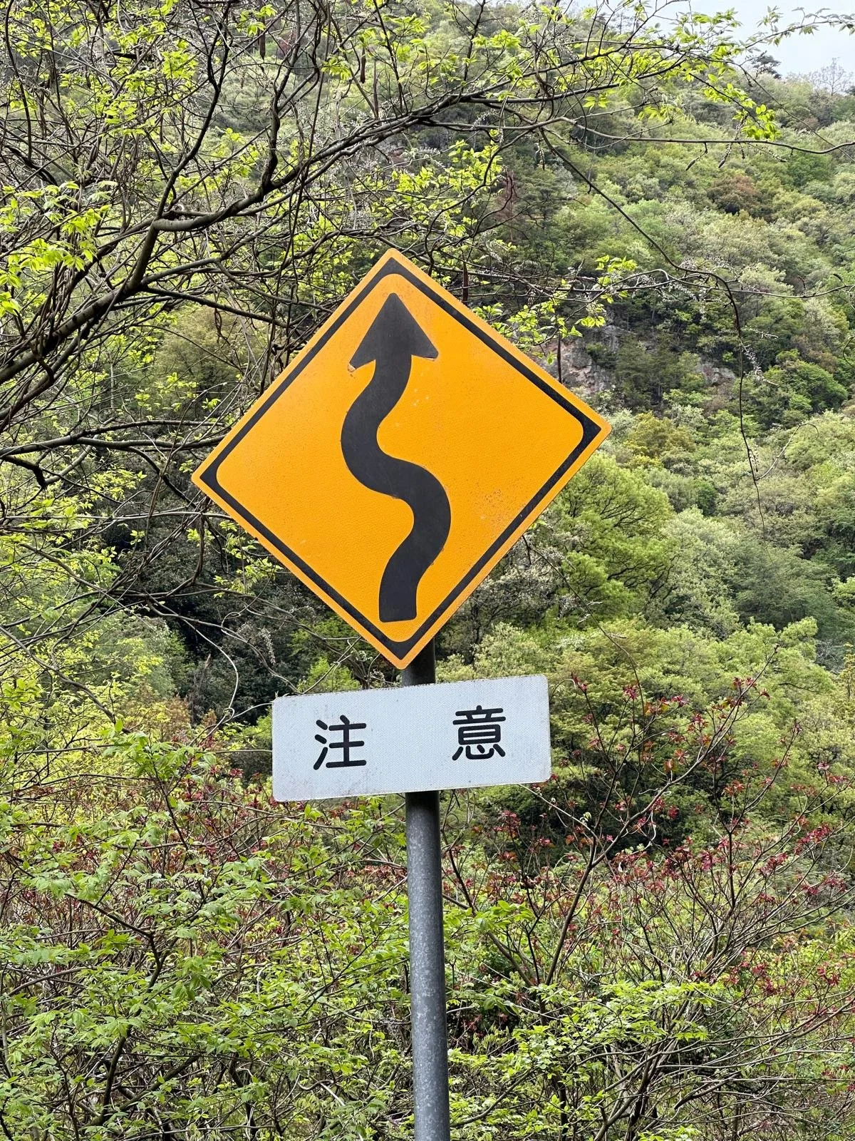Päivä 9 I Himeji - Tsuruga I 245 km