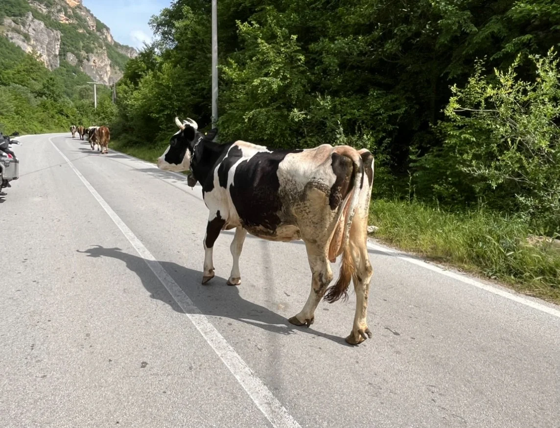 Päivä 4 | Balkanin lenkki | Prizen - Ohrid | 272 km