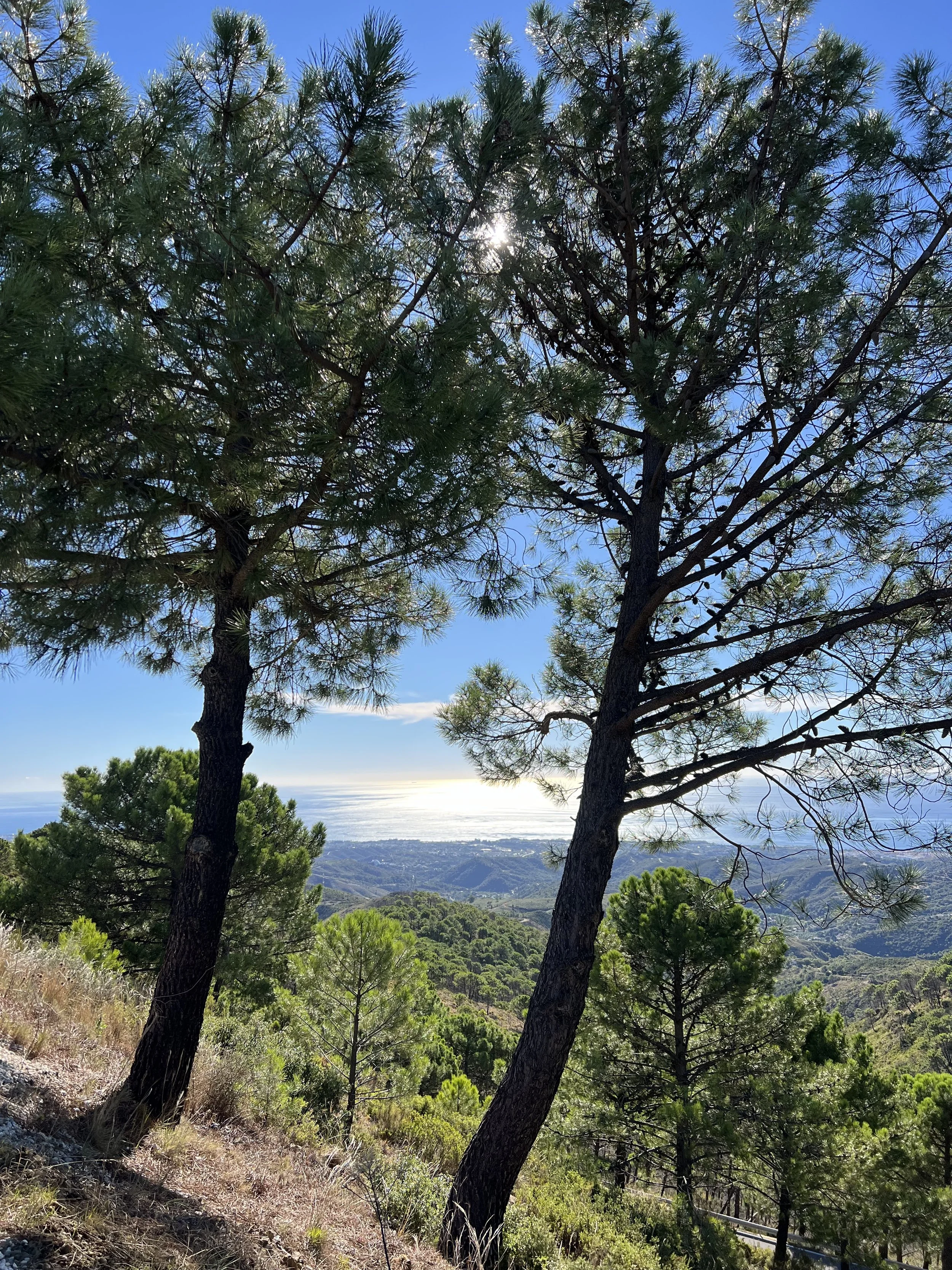 7 päivä | Kotiinlähtö tai loman jatkopäivä Aurinkorannikolla