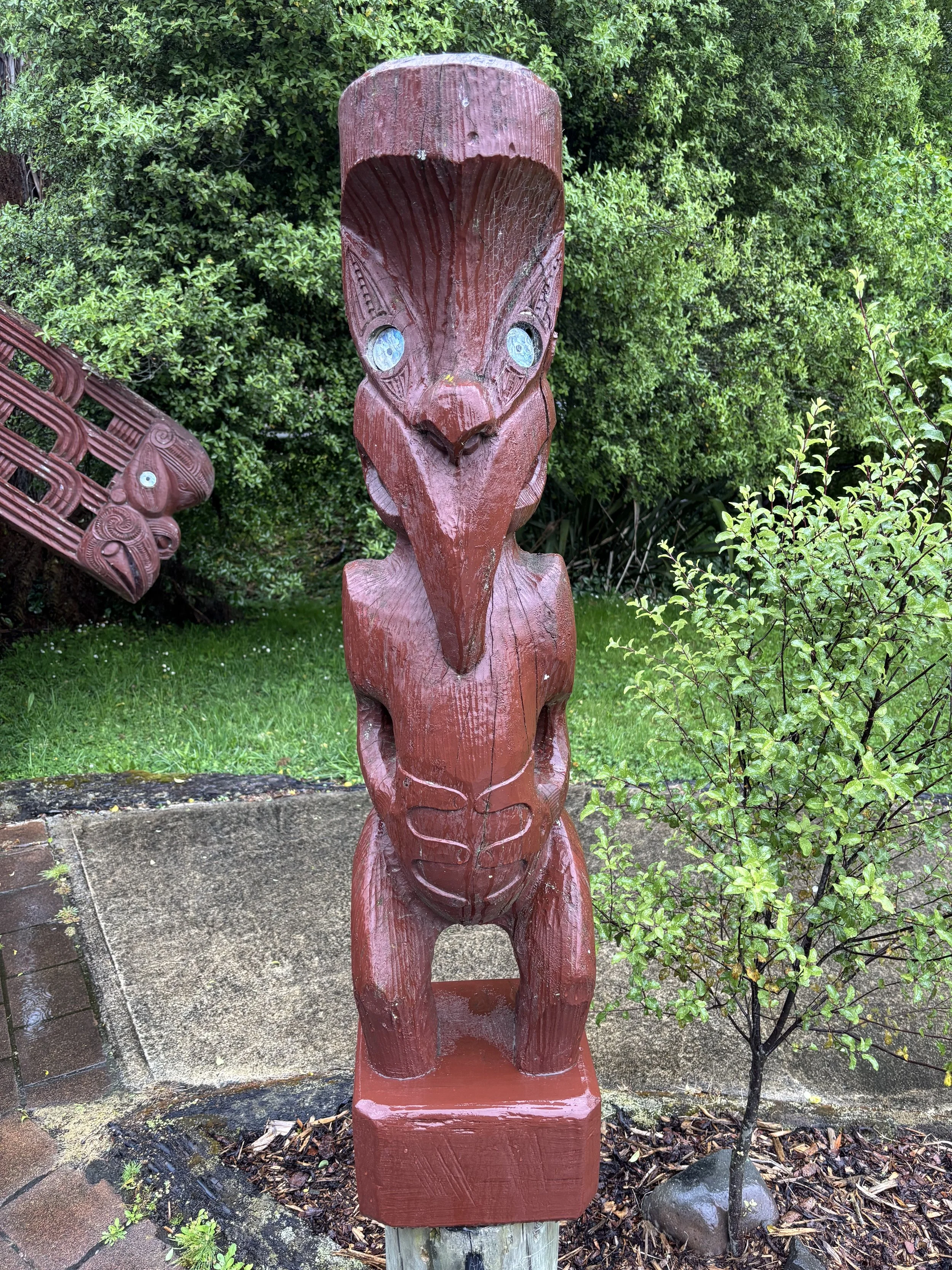 Päivä 6 I Rotorua - vapaapäivä I 0 km