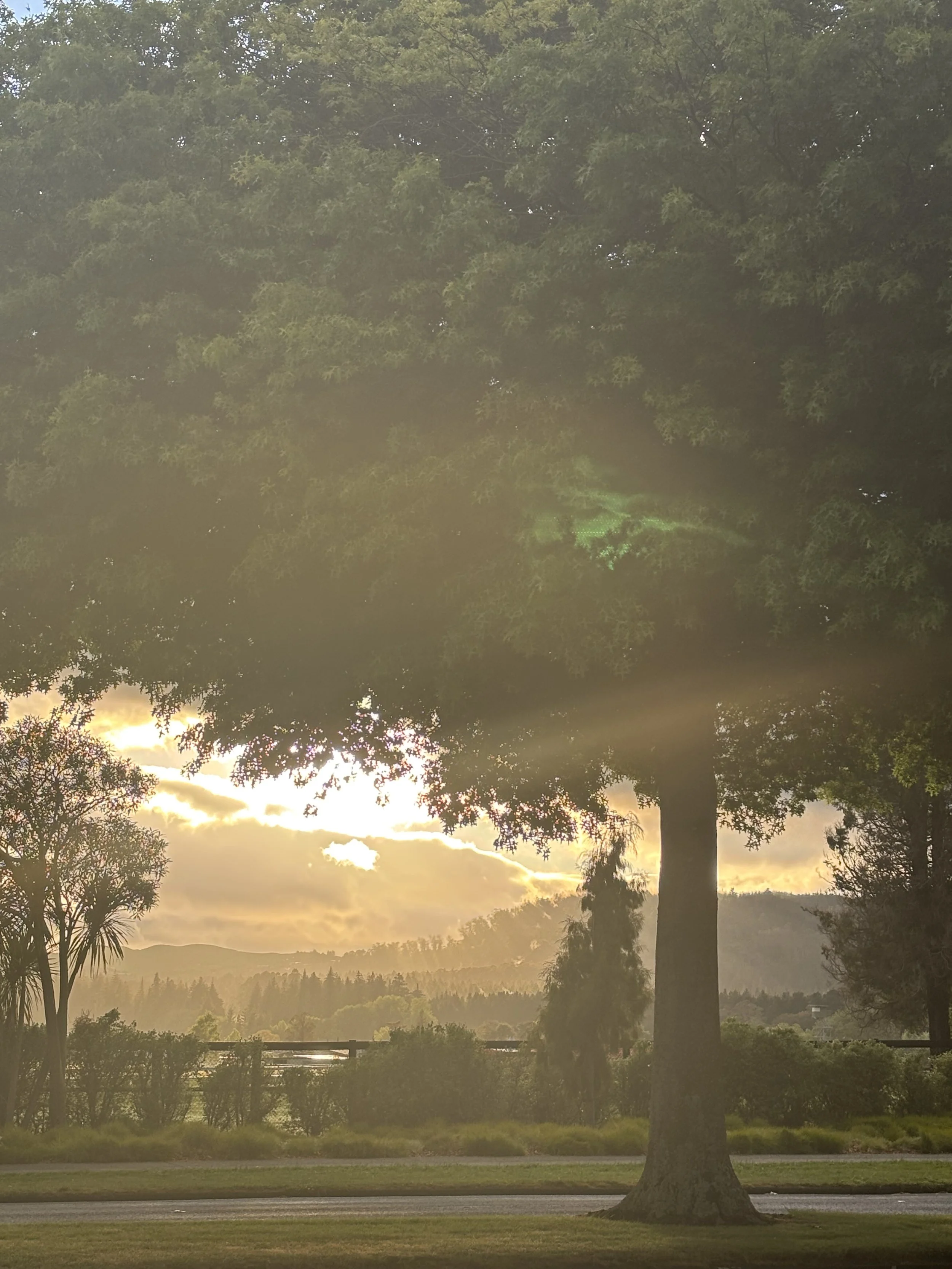 Päivä 7 I Rotorua - Taupo - Napier - Wellington I 603 km