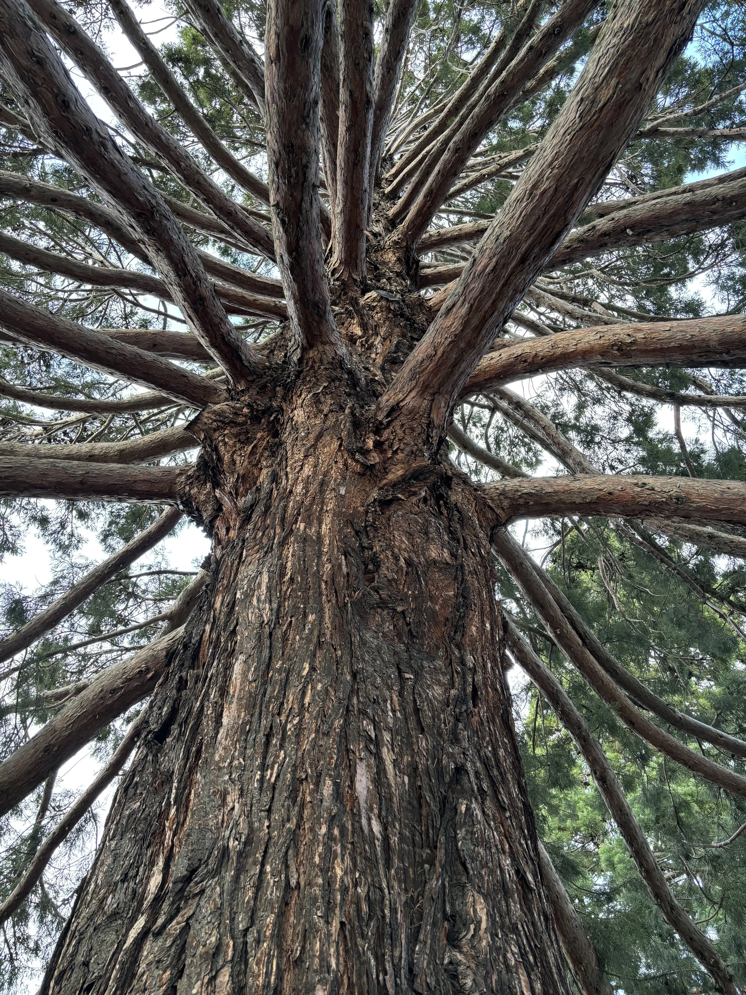 Päivä 11 I Queenstown - vapaapäivä I 0 km