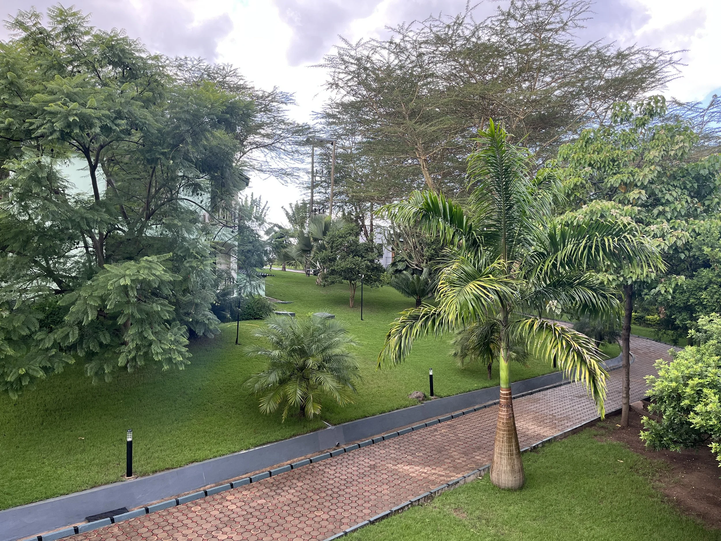 Päivä 1 | Saapuminen Tansanian Arushaan | 0 km