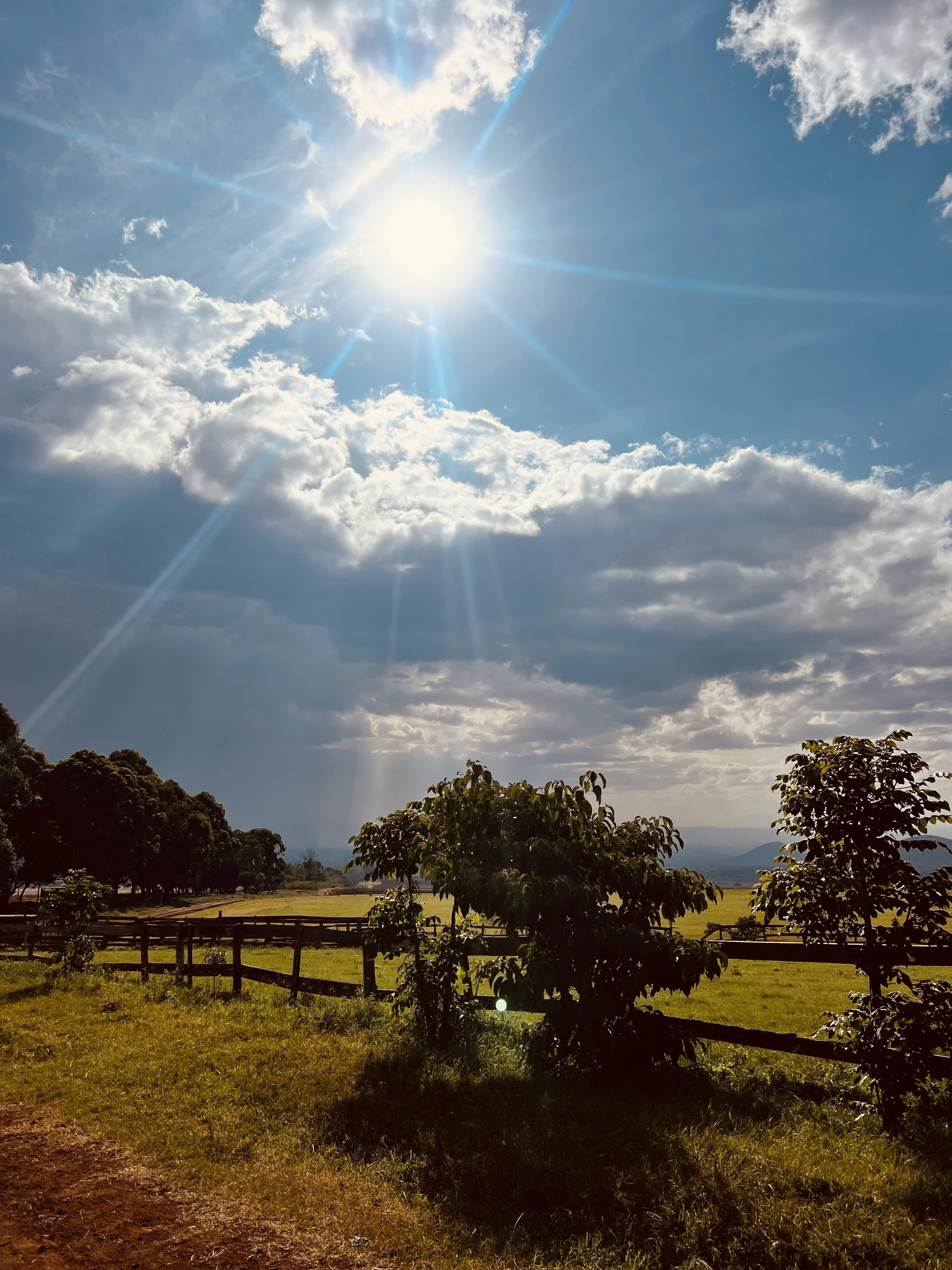 Päivä 2 | Arusha -&nbsp;Länsi-Kilimanjaro |&nbsp;100&nbsp;km 