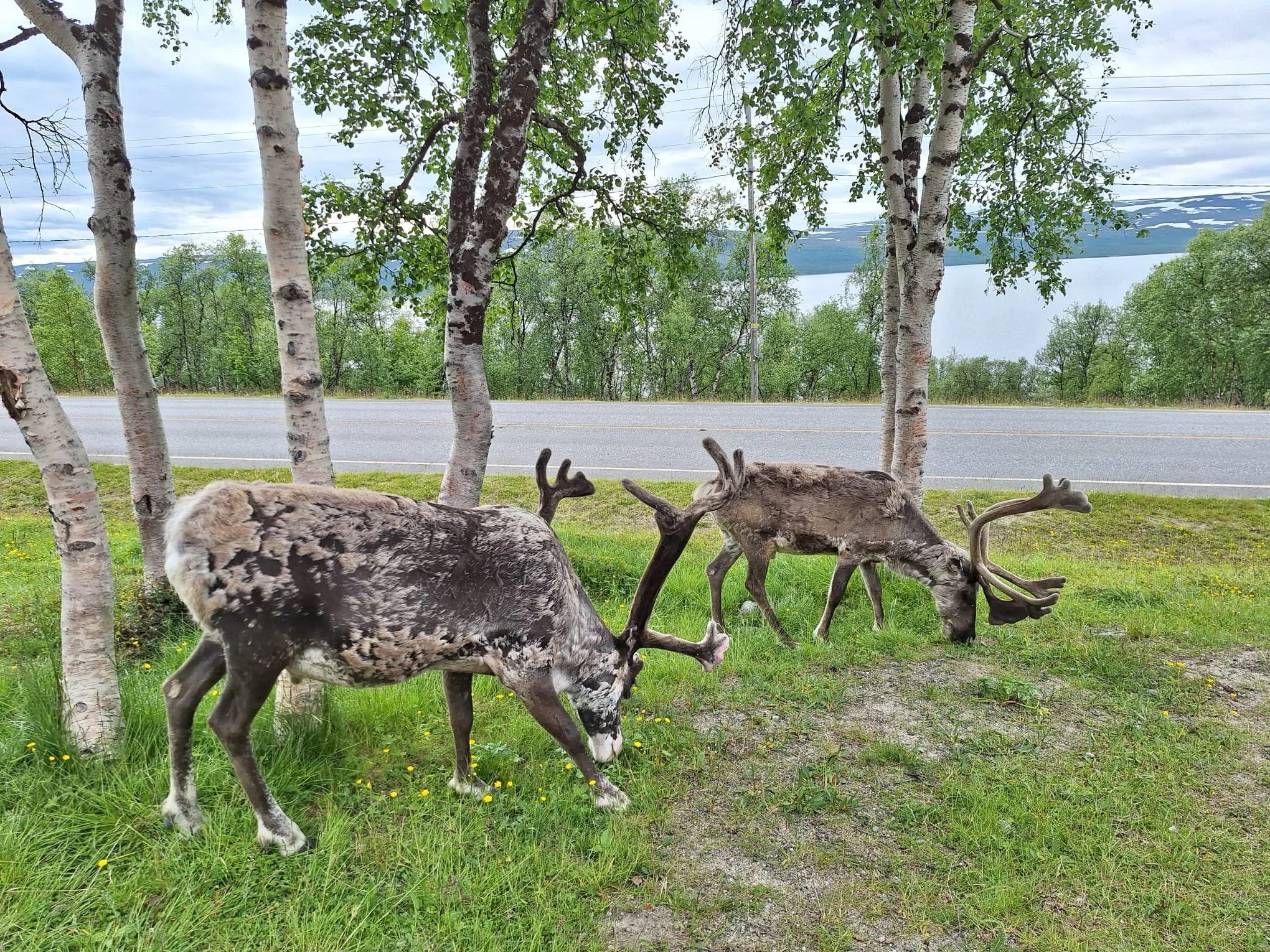 2 päivä | Levitunturi - Kilpisjärvi - Tromssa | 420 km