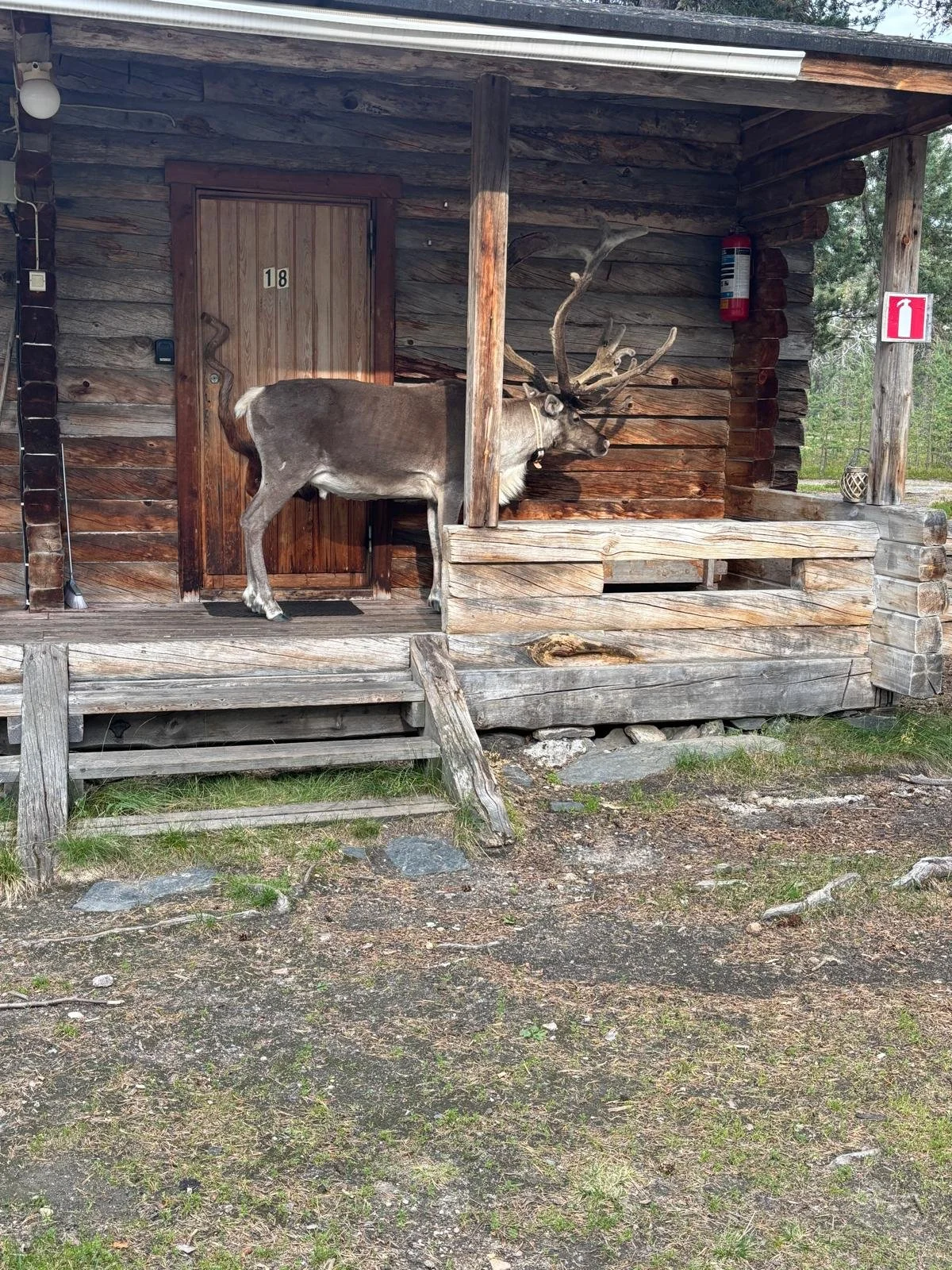 Päivä 5 | Kuusamo - Tulppio | 343km