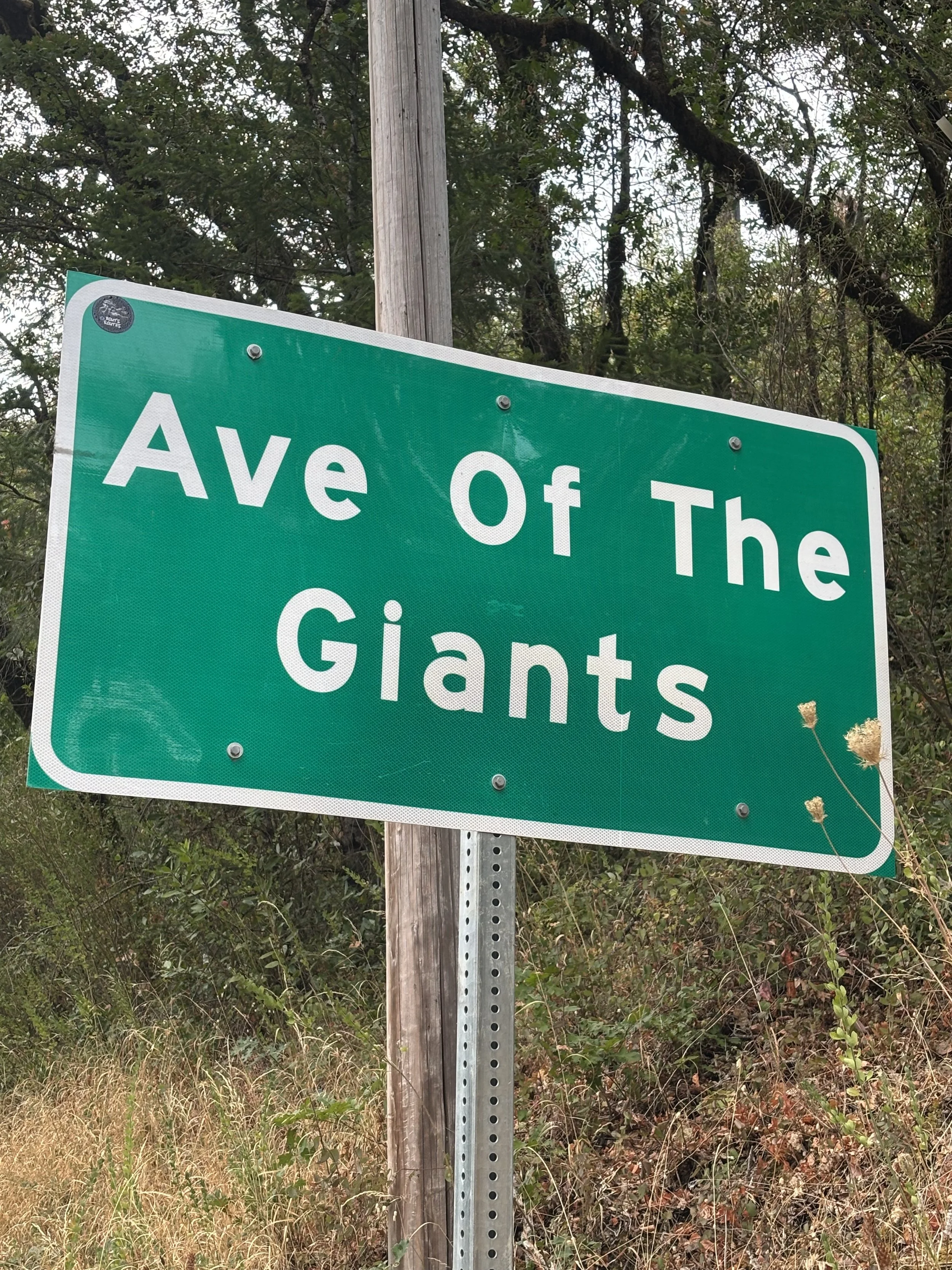 Päivä 3 | Redway - Redding | 295 km