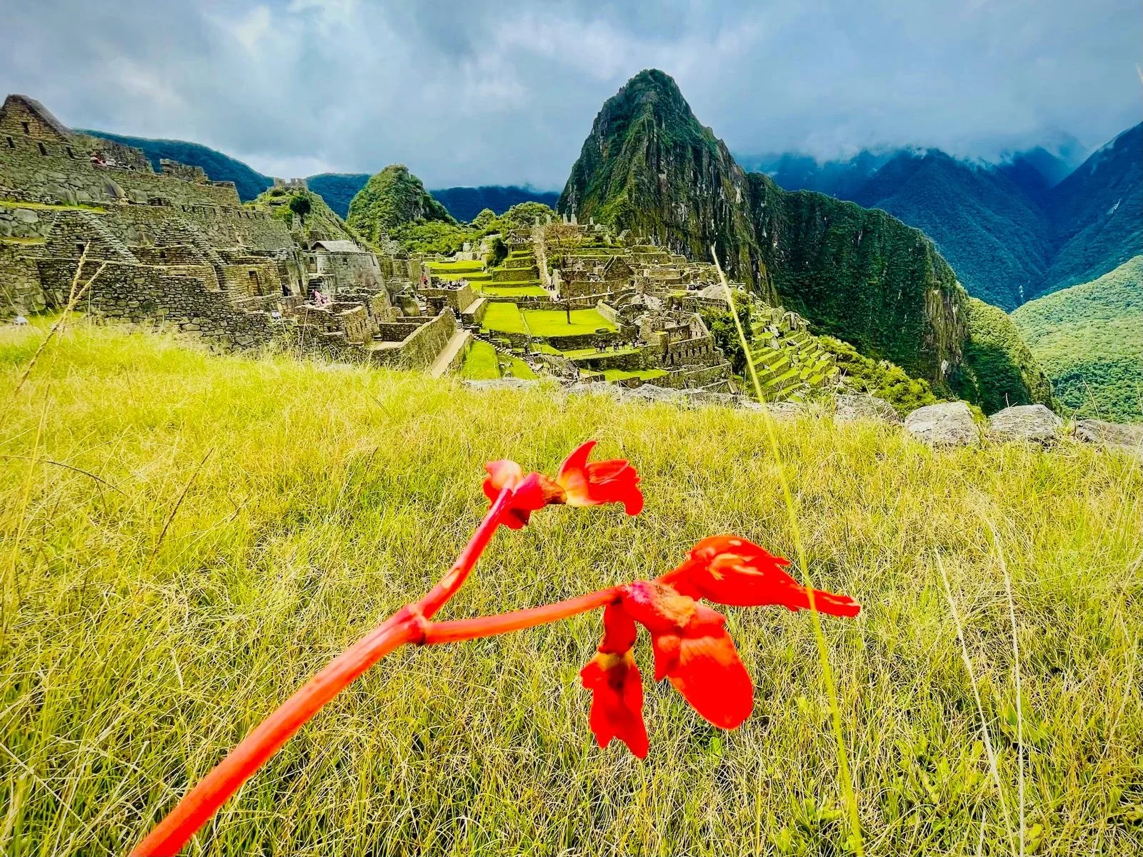 WhatsApp Image 2025-10-29 at 16.37.56.jpeg