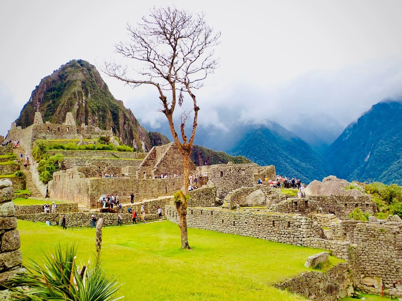 WhatsApp Image 2025-10-29 at 16.37.56.jpeg