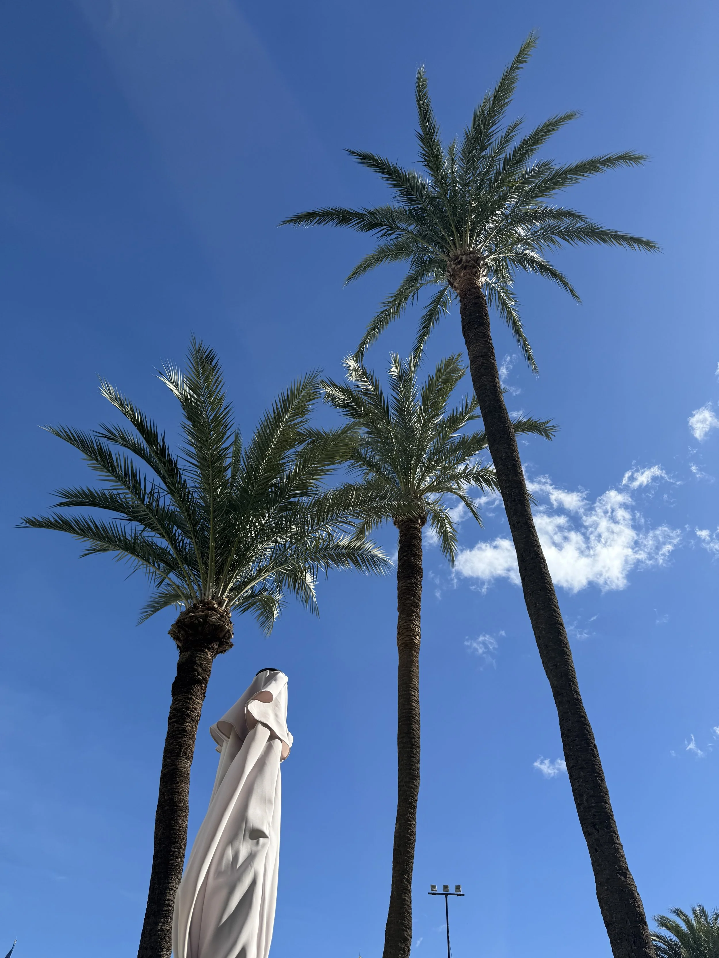 Päivä 5.| Sunnuntai 2.11.2025.| Matkan päätöspäivä.| 0 km