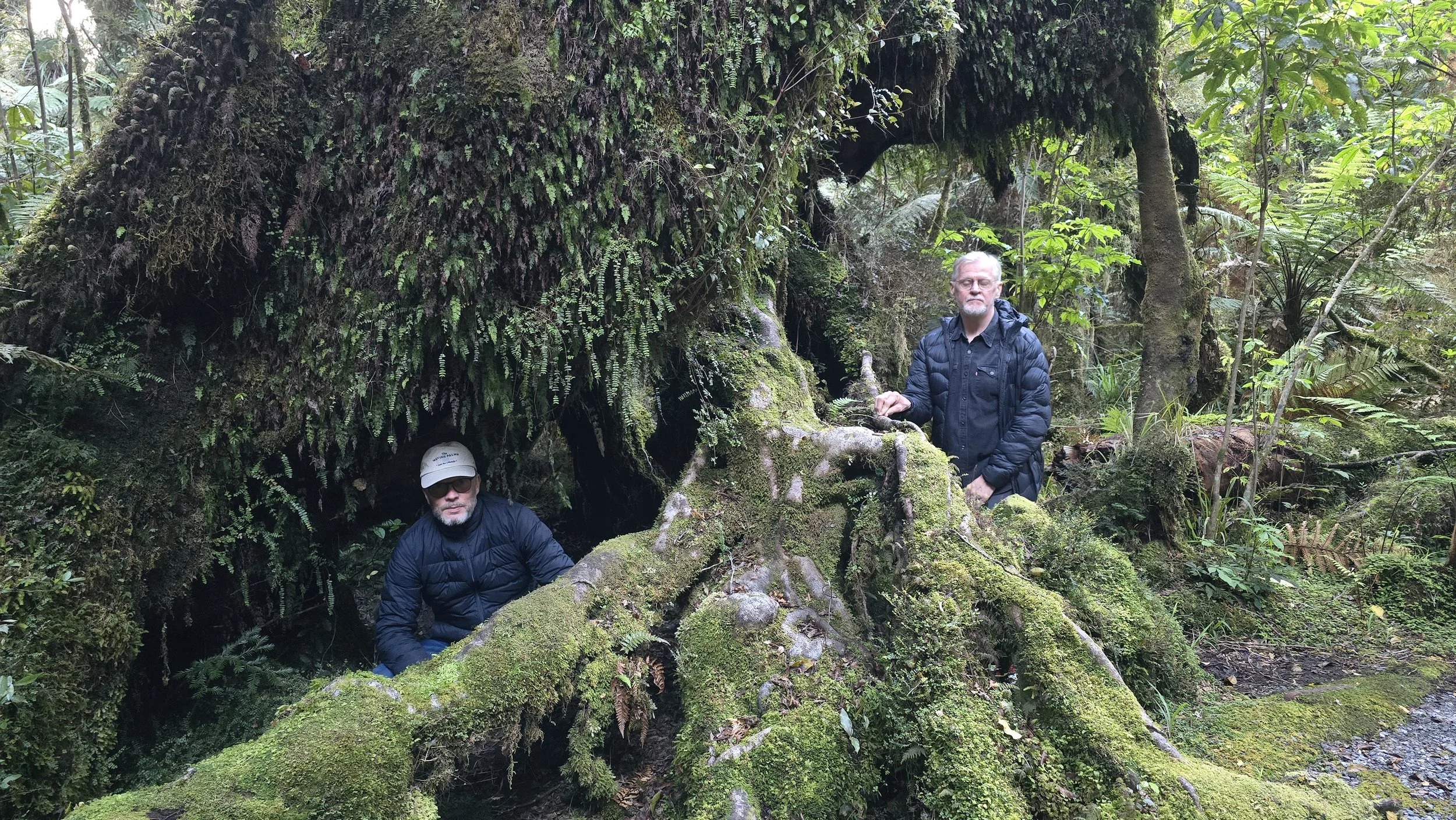 Päivä 9 | Westport - Fox Glacier | 295km