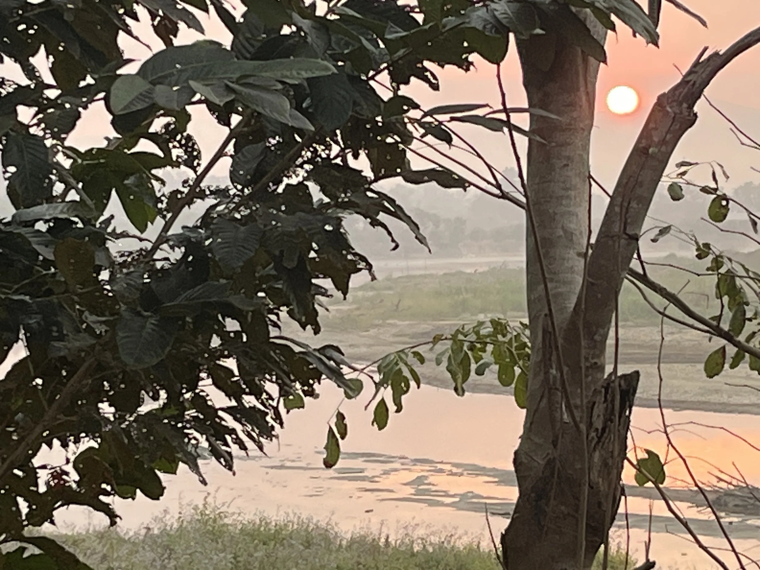 5 päivä | Tha Thon - Kultainen Kolmio - Chiang Hong | 258 km | 10 tuntia