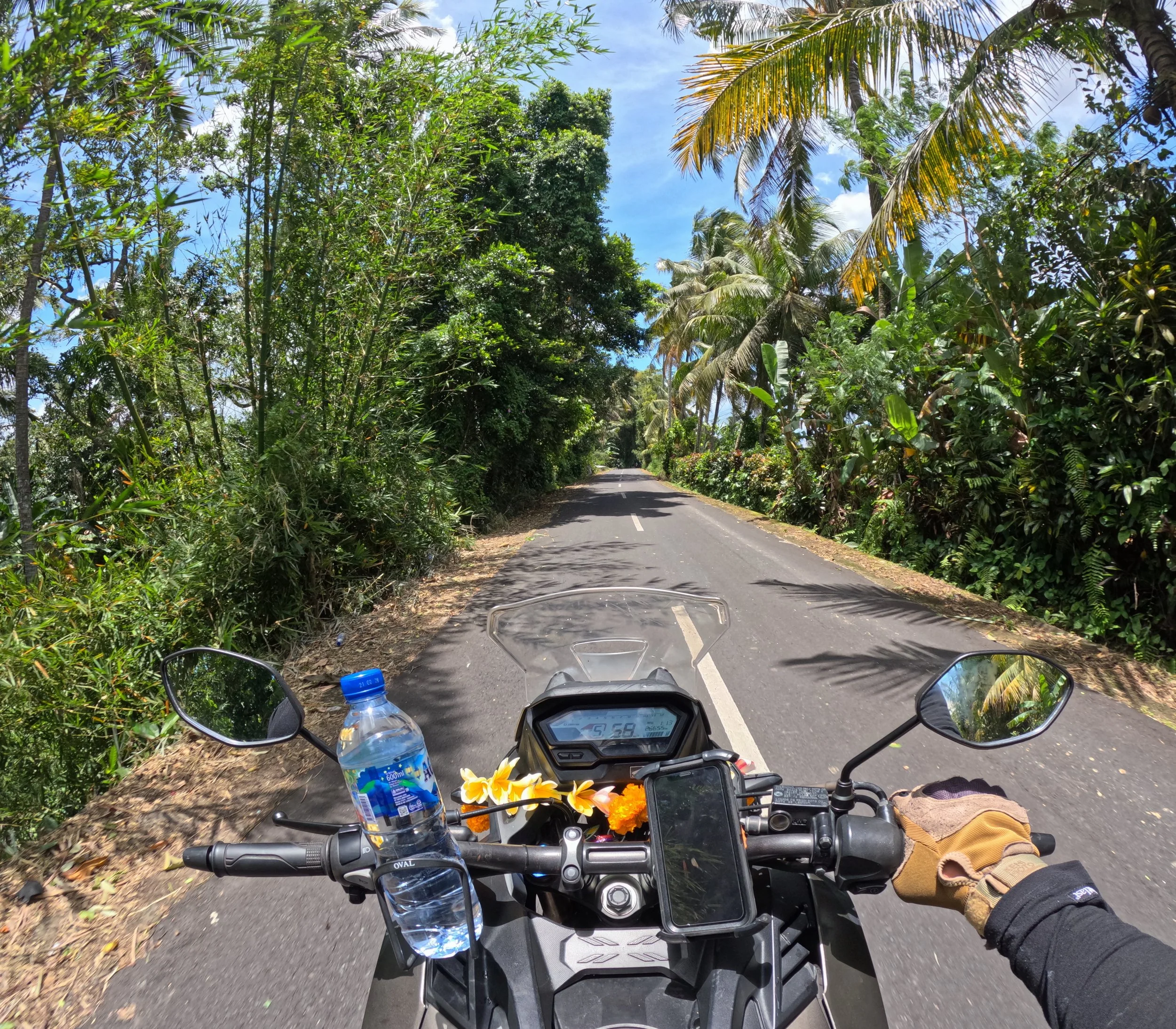 Päivät 2-3 | Bali | Denpasar - Depeha - Manggis 