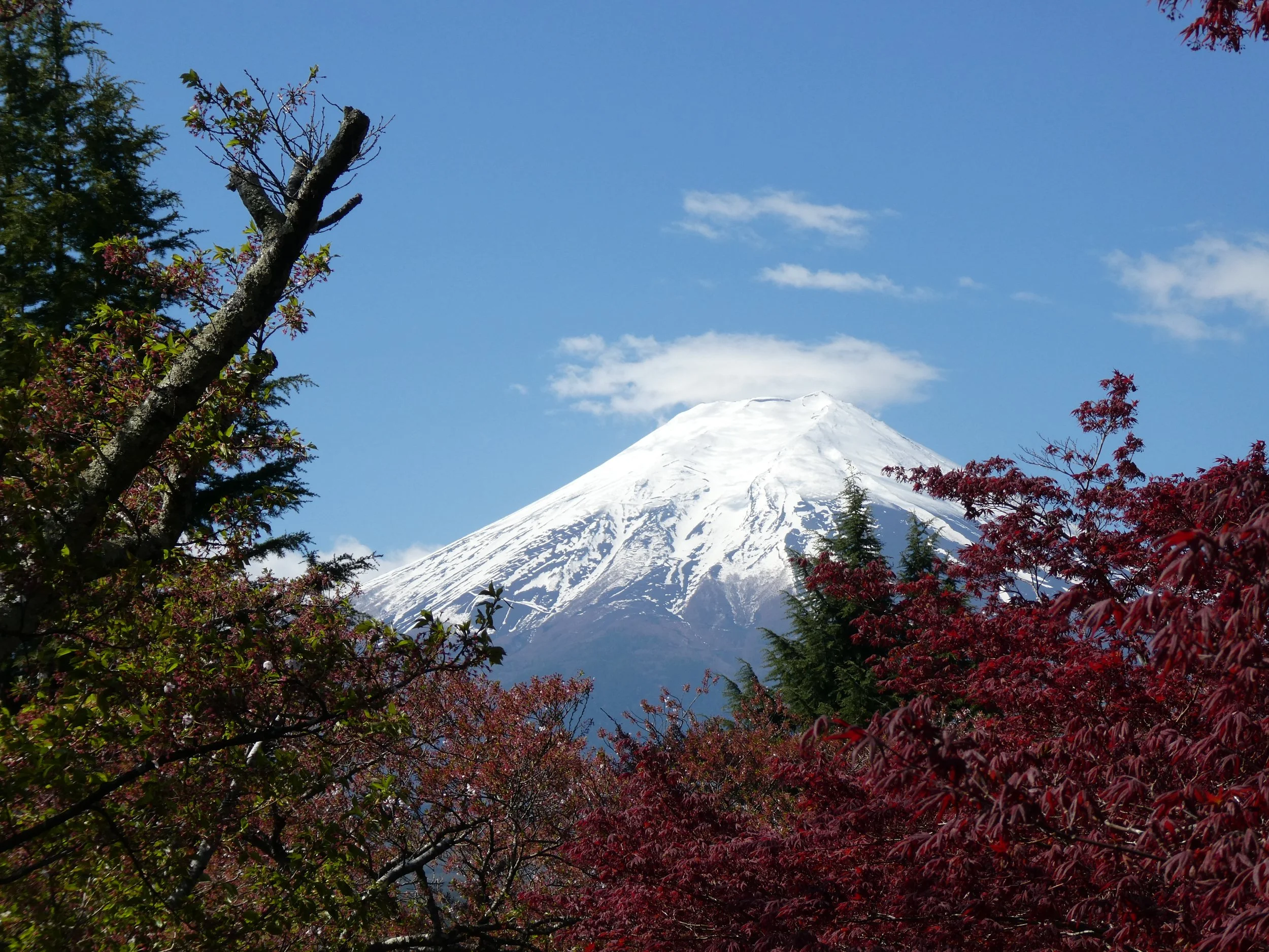 Photo 16.4.2026, 8.58.16.jpg