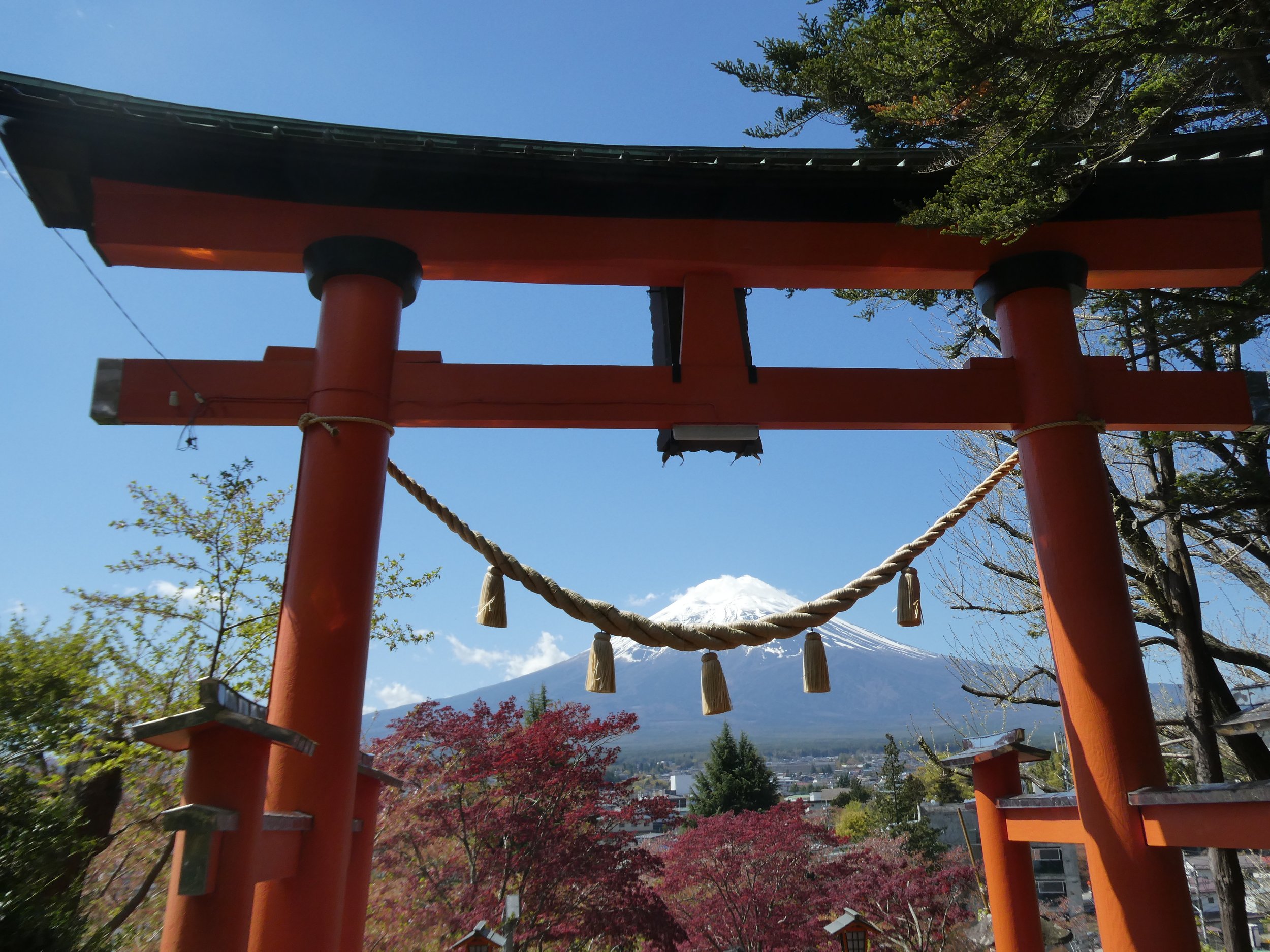 Photo 16.4.2026, 9.47.51.jpg