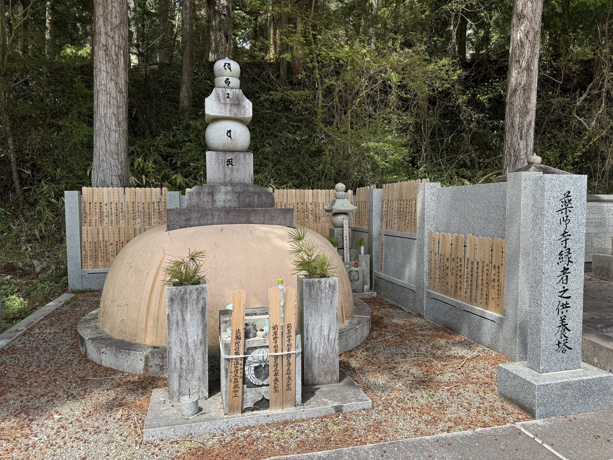 Photo 18.4.2026, 12.17.30.jpg