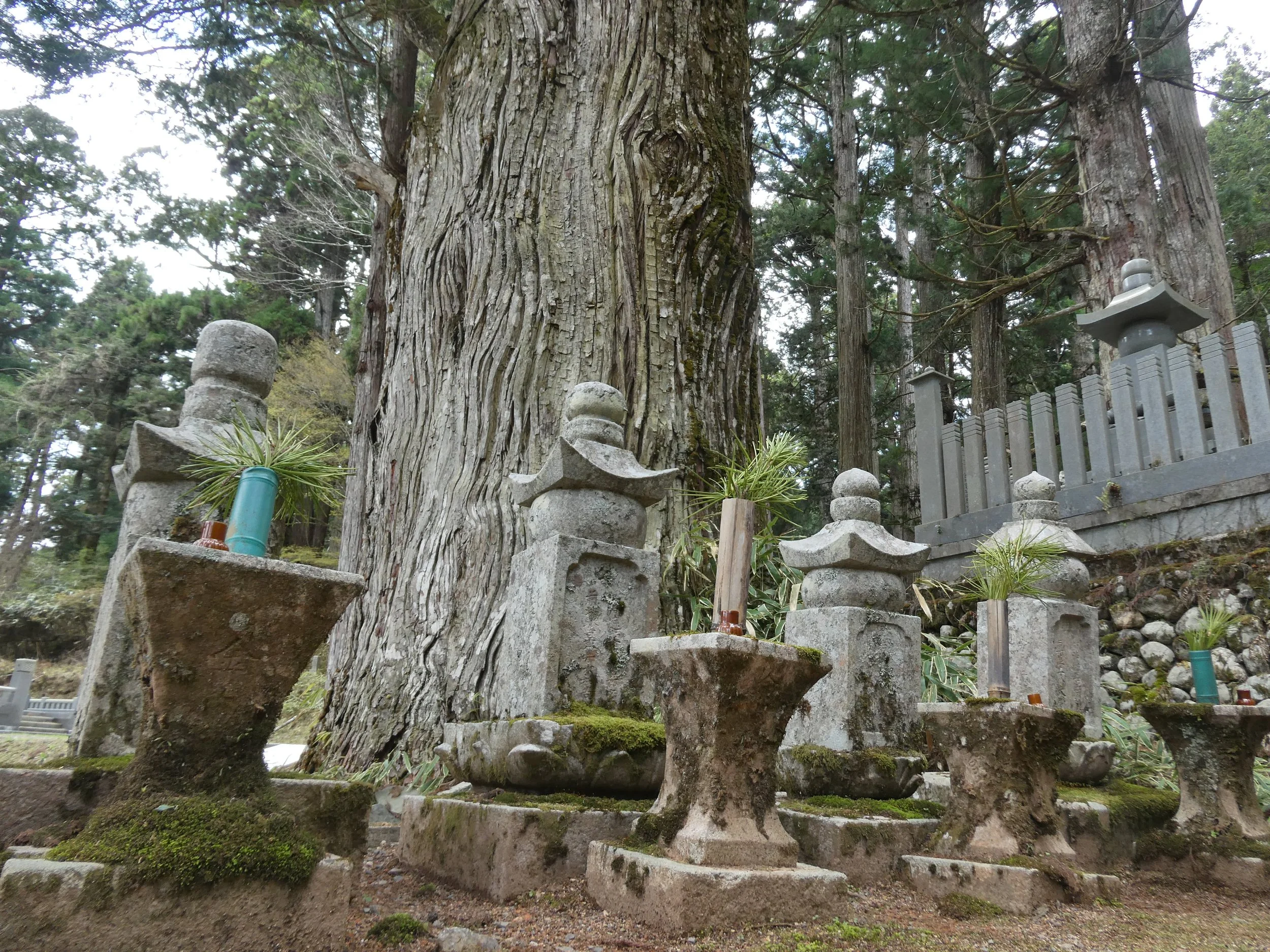 Photo 18.4.2026, 12.25.38.jpg