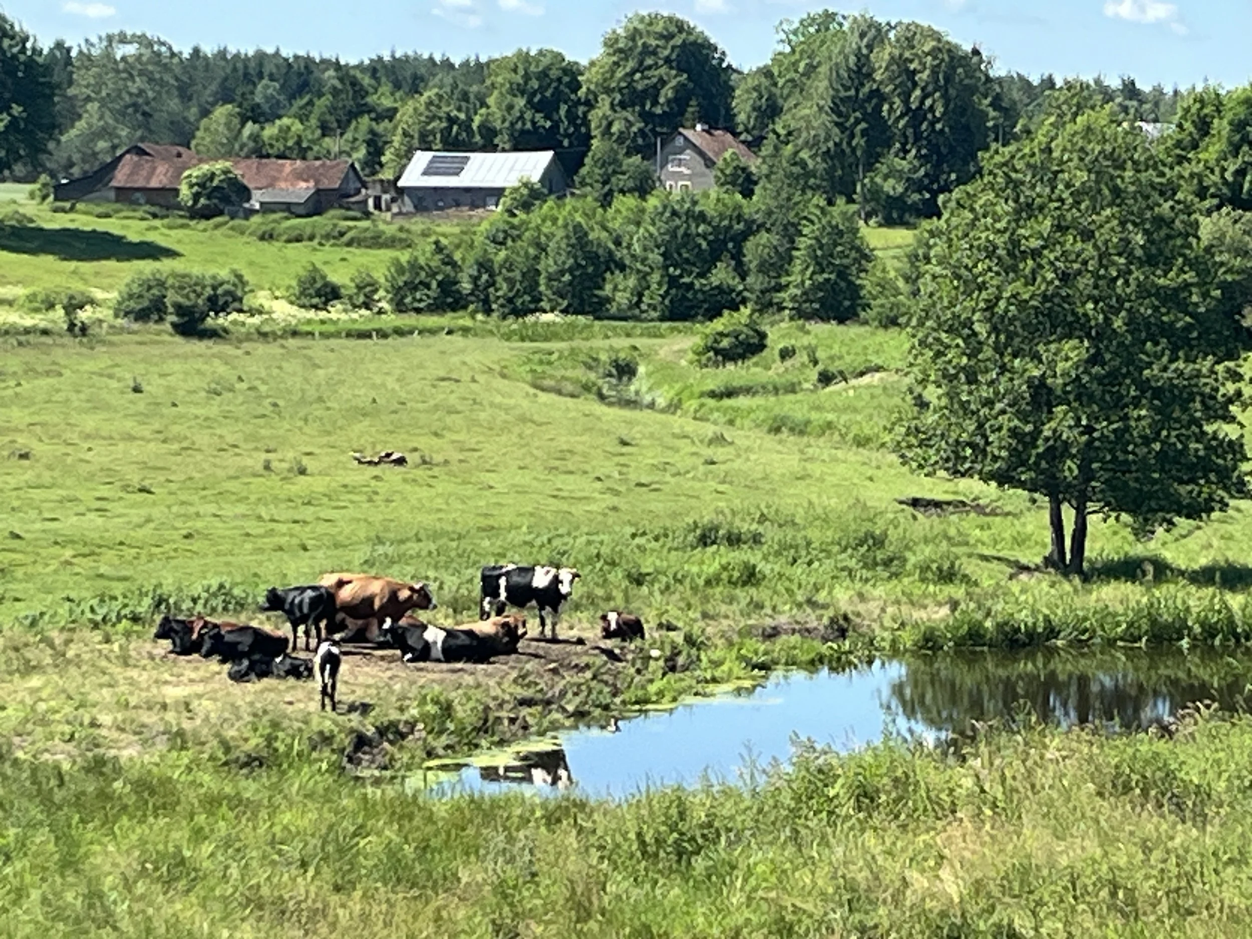Päivä 8 | Gdansk - Kaunas, Liettua | 550 km