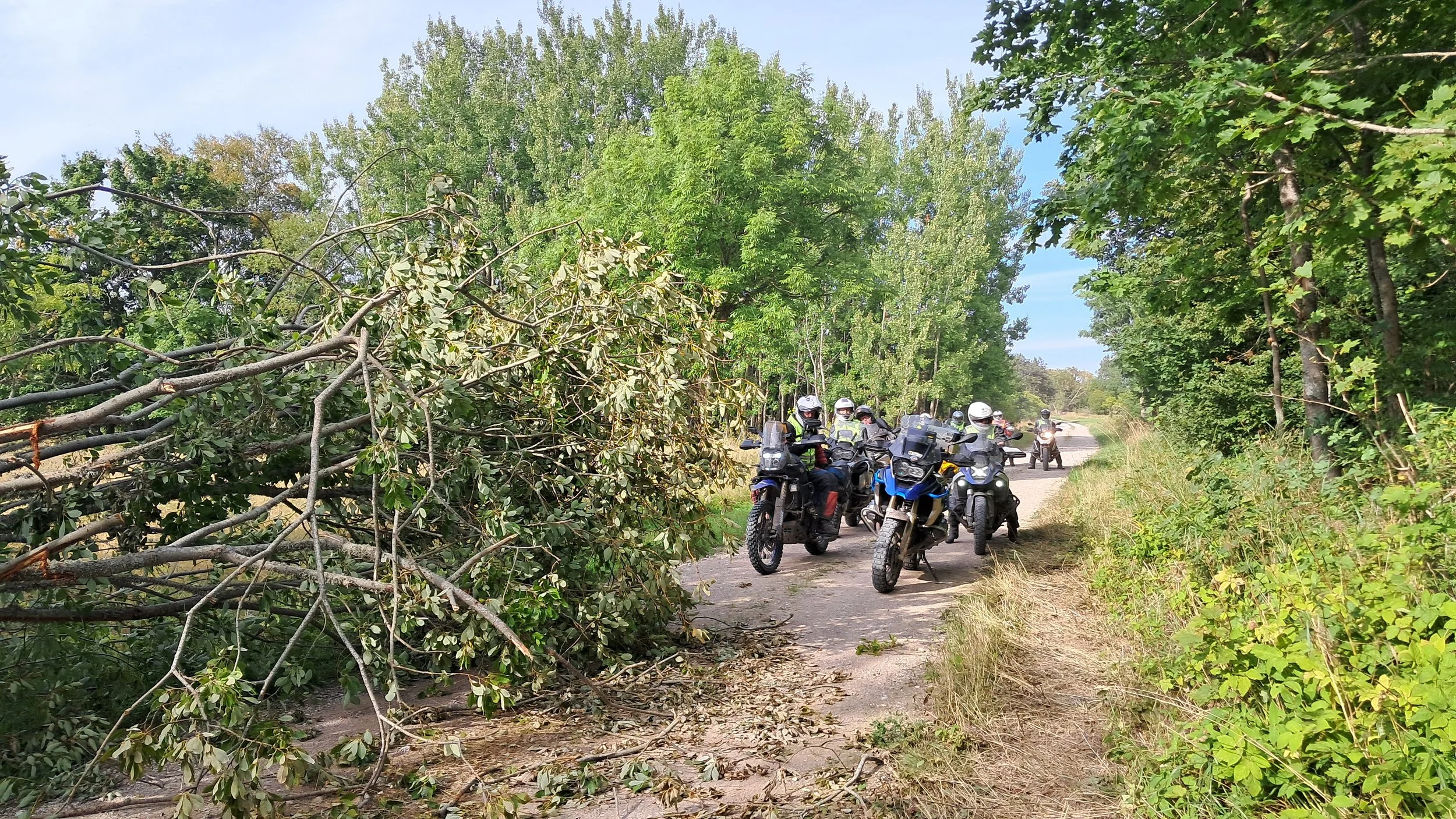 | Päivä 4 | Laugu - Kuressaari | 270 km |