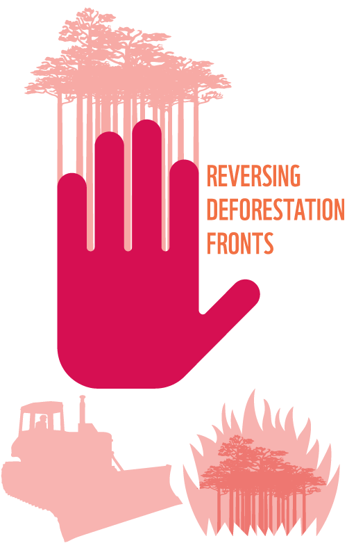 reversing-deforestation-fronts-graphic.png