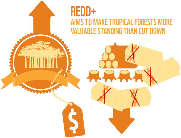 REDD-$-values-mechanism.png