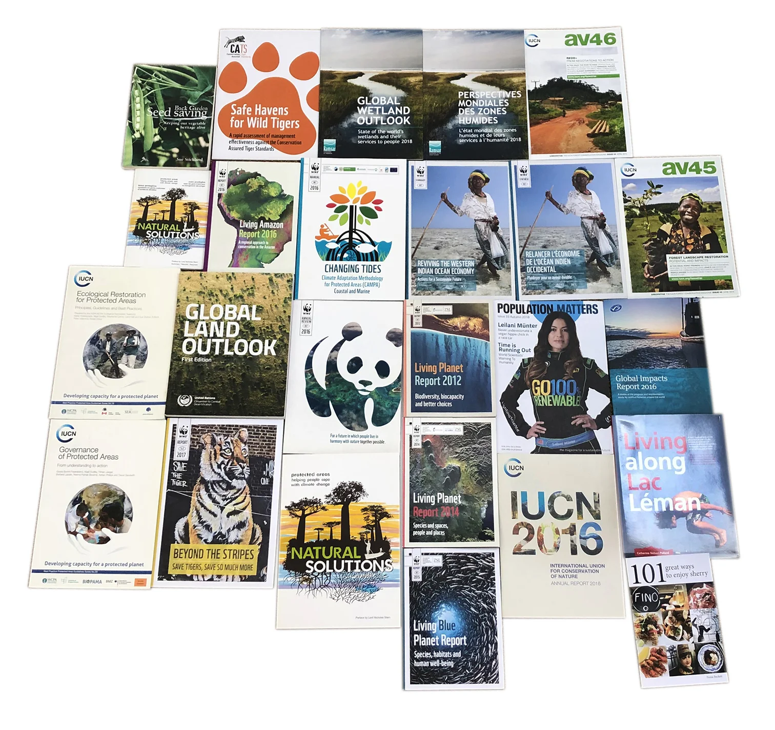 Miller work sample cut out.jpg