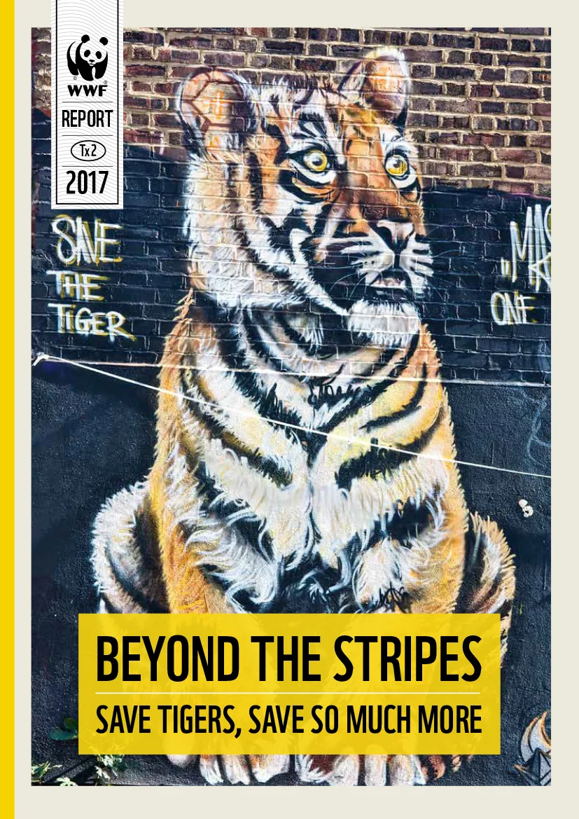 TIGERS COVER WEB.jpg