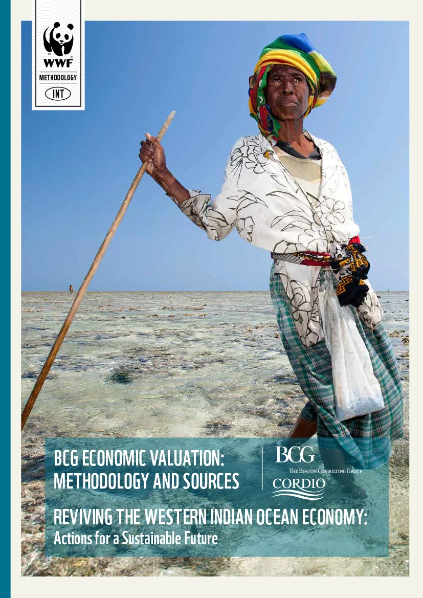 WIO methodology cover.jpg