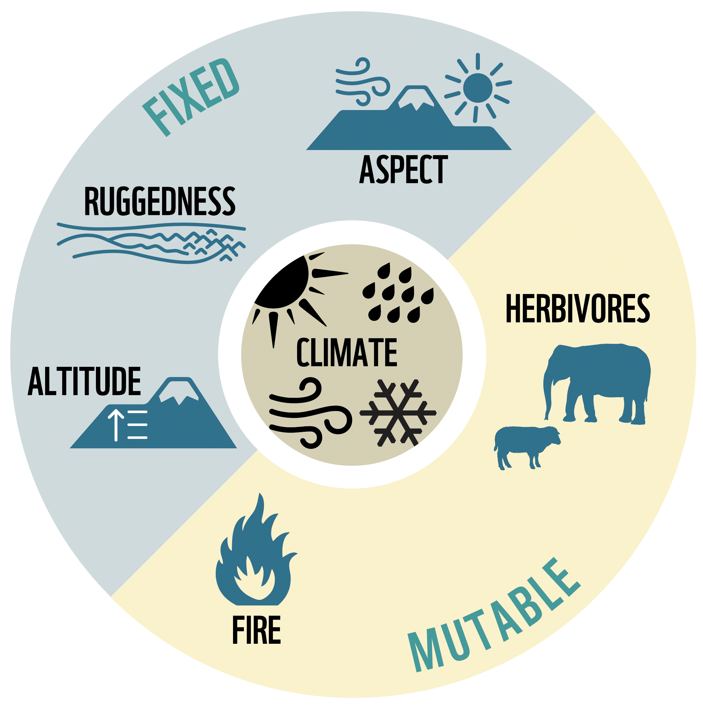 WWF: The Forces that Create and Maintain Grasslands