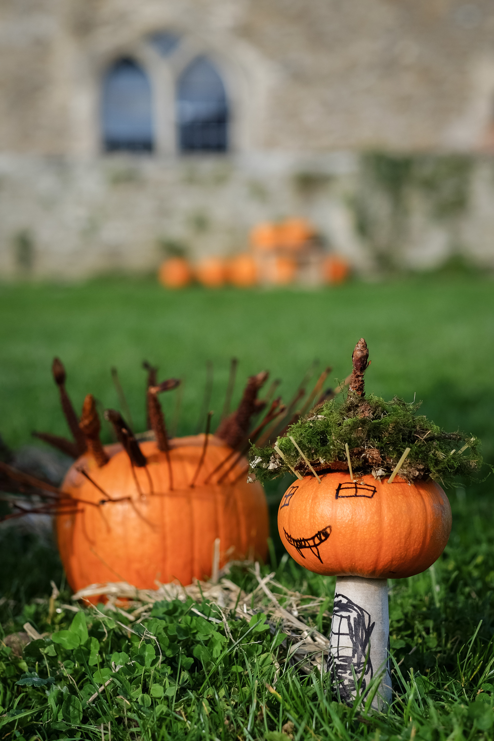 H&W Pumpkin Fest 2015-93.jpg