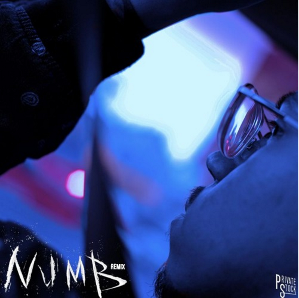 L.A. VanGogh - numb (shpeshftr remix)