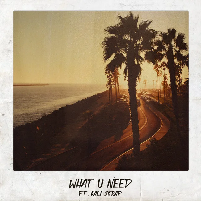 IKON - WHAT U NEED FT. KALI SKRAP